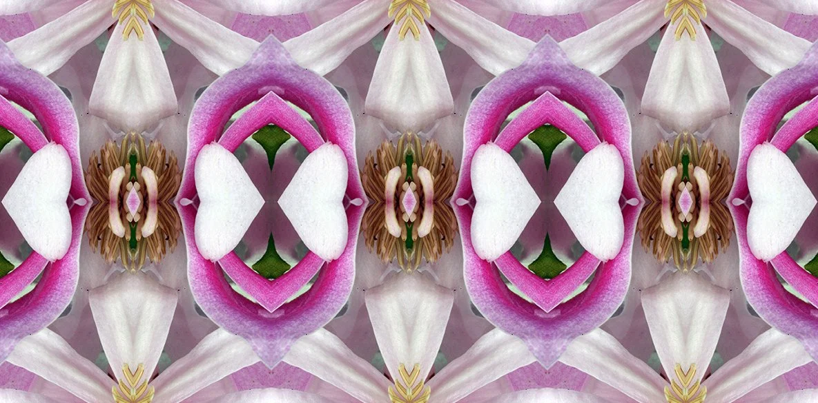 Magnolia Heart