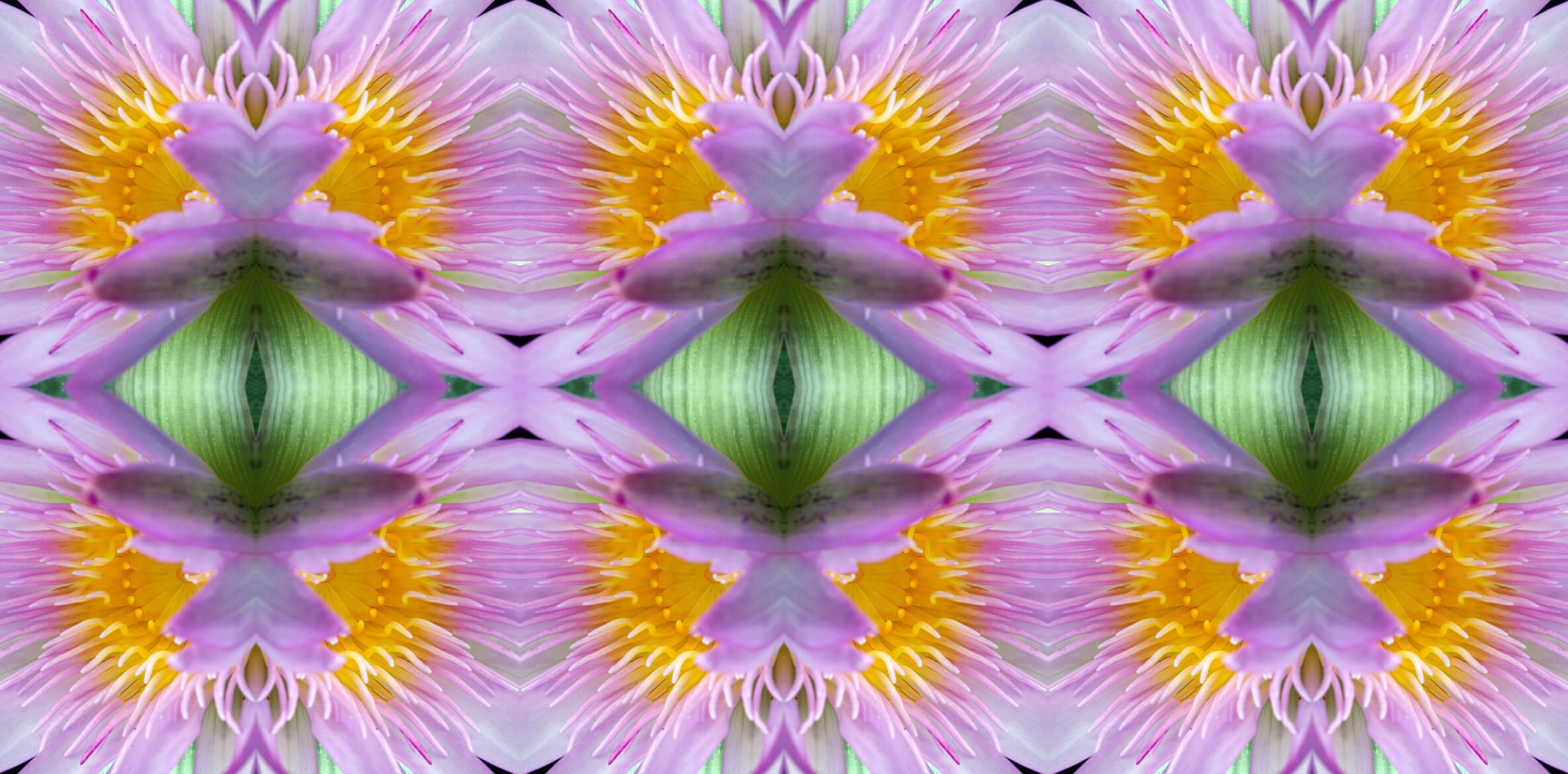 LOTUS PATTERN