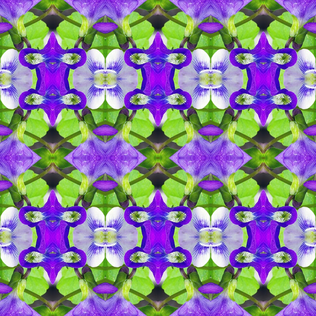 Purple violets swatch.jpg