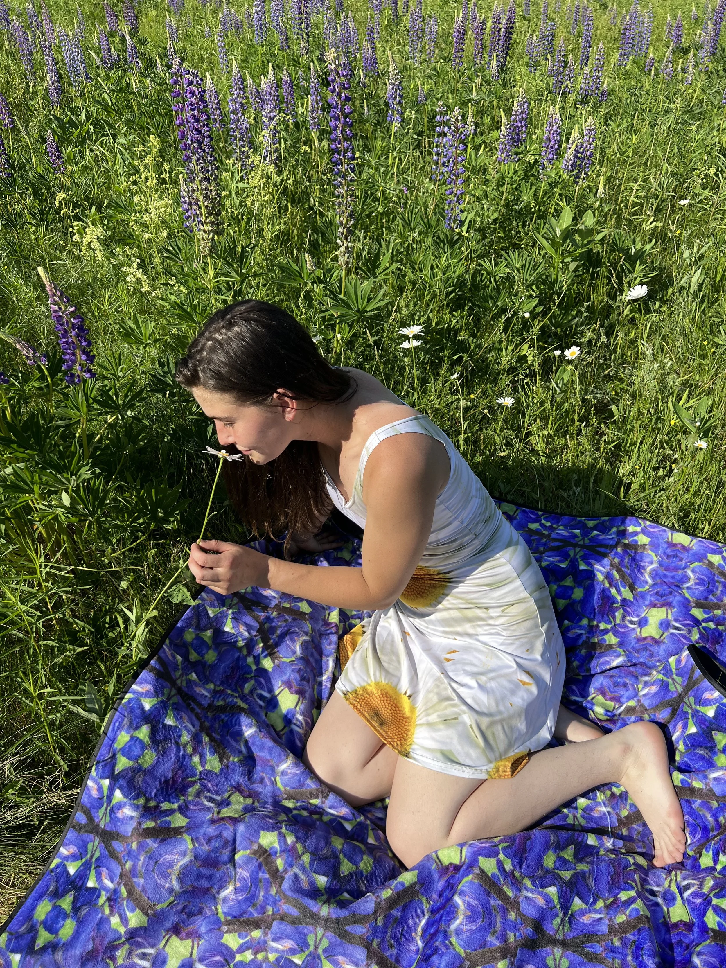 Symmagery Purple Lupine Picnic Blanket