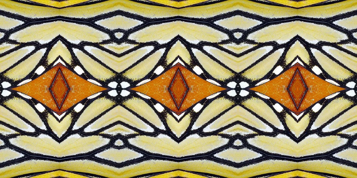 New Monarch 2