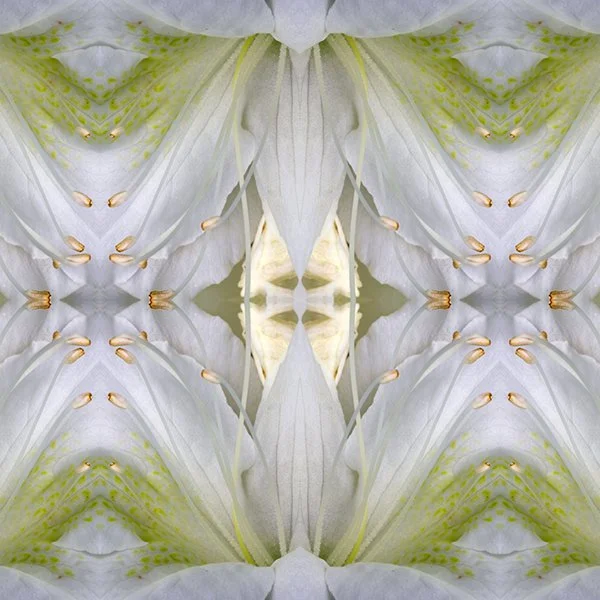 White Azalea Swatch .jpg