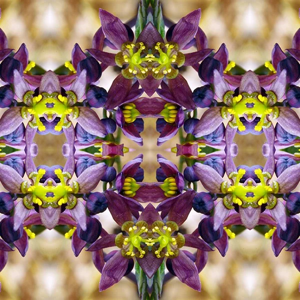 Pattern Swatch Caulophylum 1.jpg