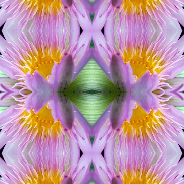 Pink Lotus Flower Swatch.jpg