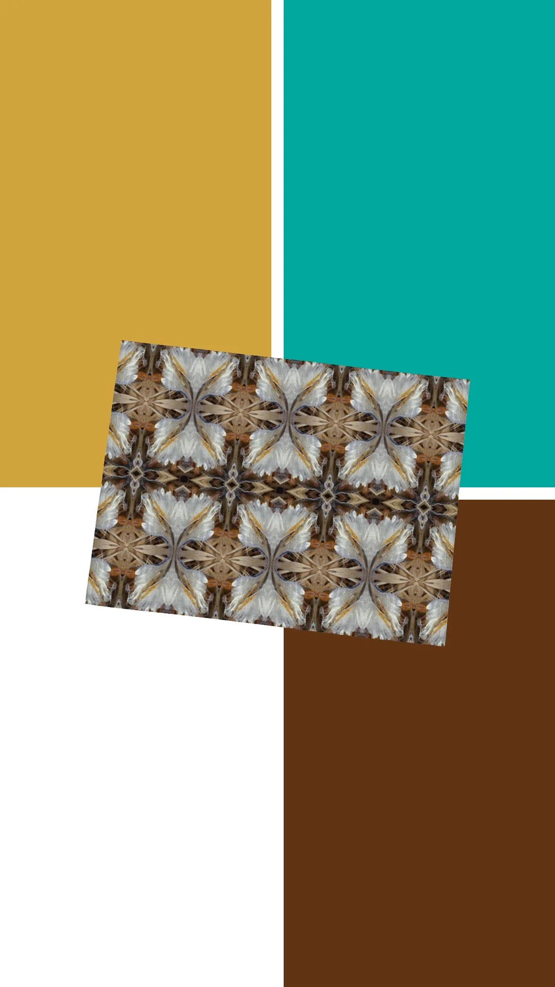 Milkweed seedpod placemat.jpg