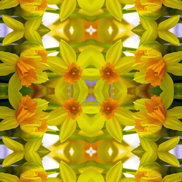 Daffodil Delight Swatch.jpg