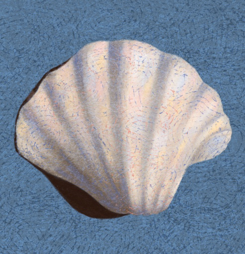 Close-up of a seashell on a textured blue surface.