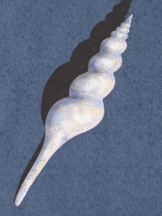 A surreal painting of a spiral staircase resembling a seashell, shown from above, casting a shadow on a blue background.