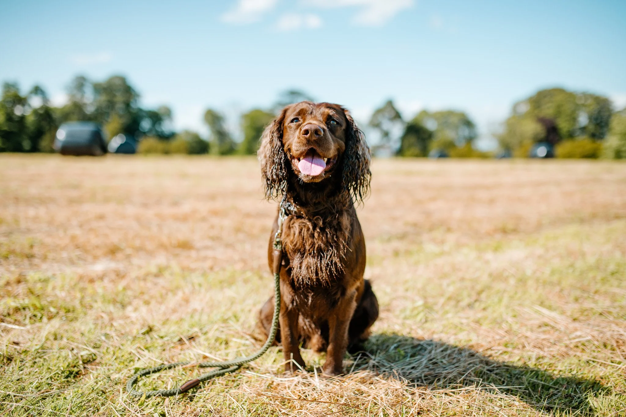 10-11-2022 at 19.53.561 10.jpg