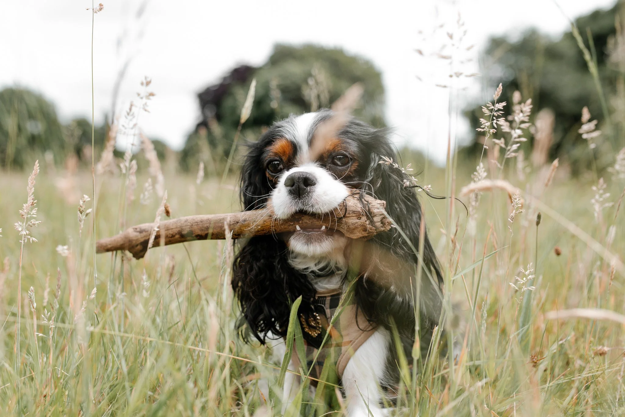 10-11-2022 at 20.06.161 4.jpg