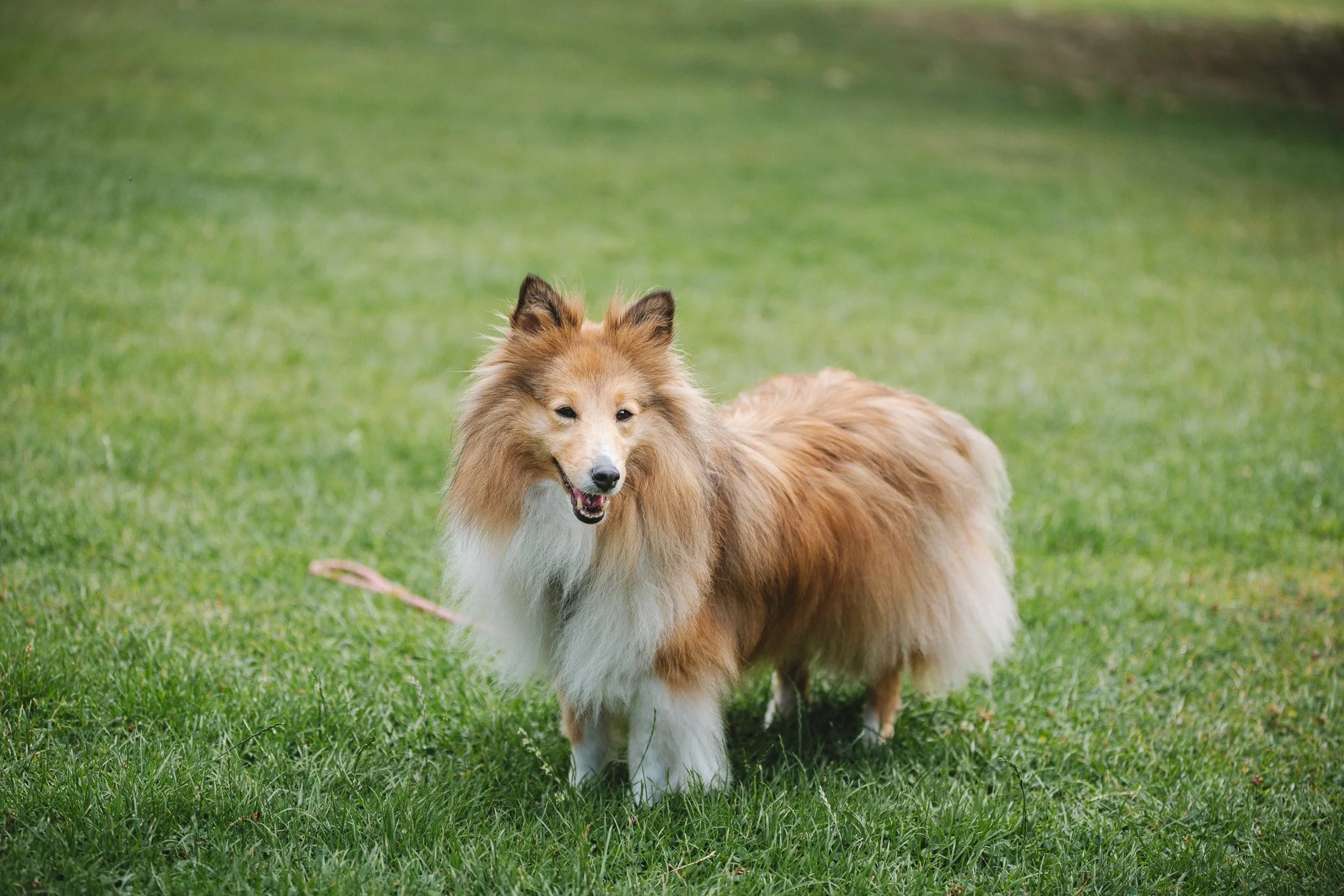 10-11-2022 at 20.00.321 7.jpg