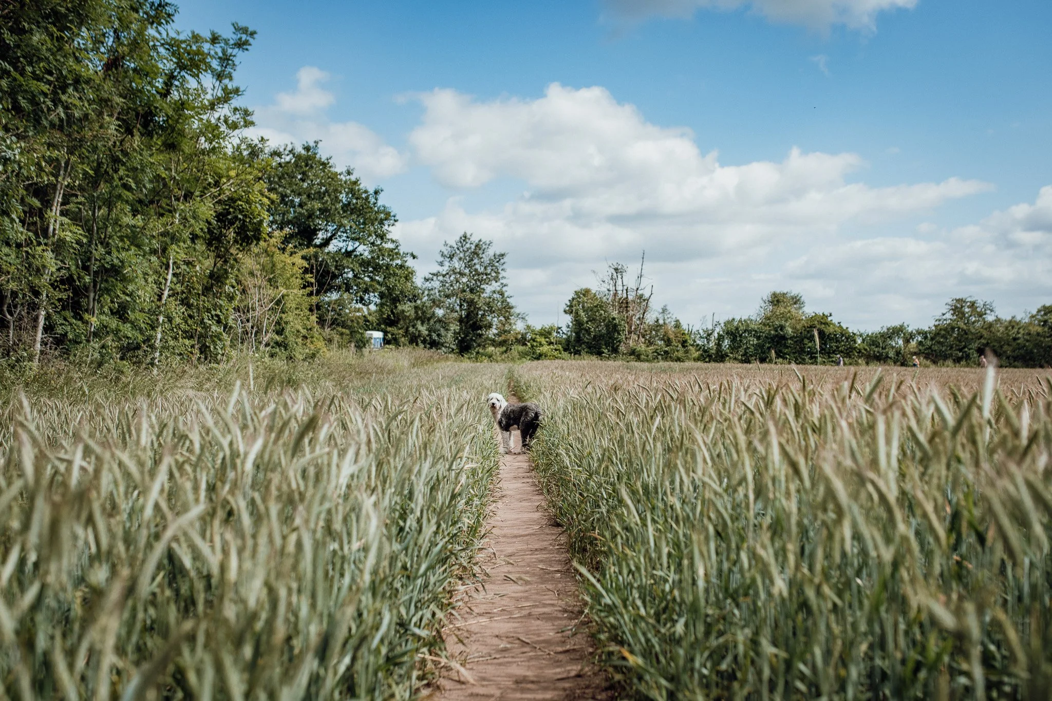 10-11-2022 at 20.06.161.jpg