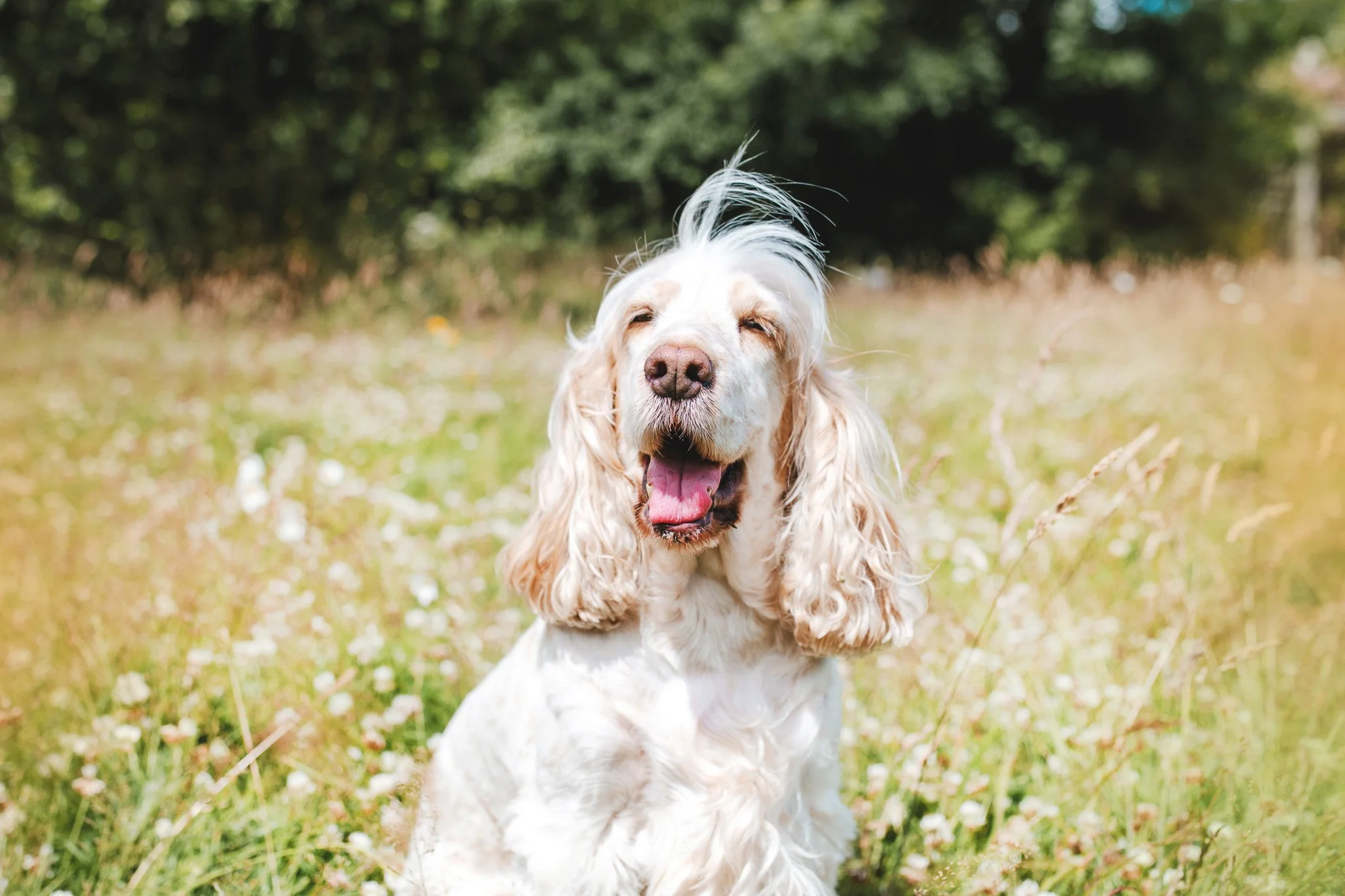 10-11-2022 at 20.06.161 8.jpg