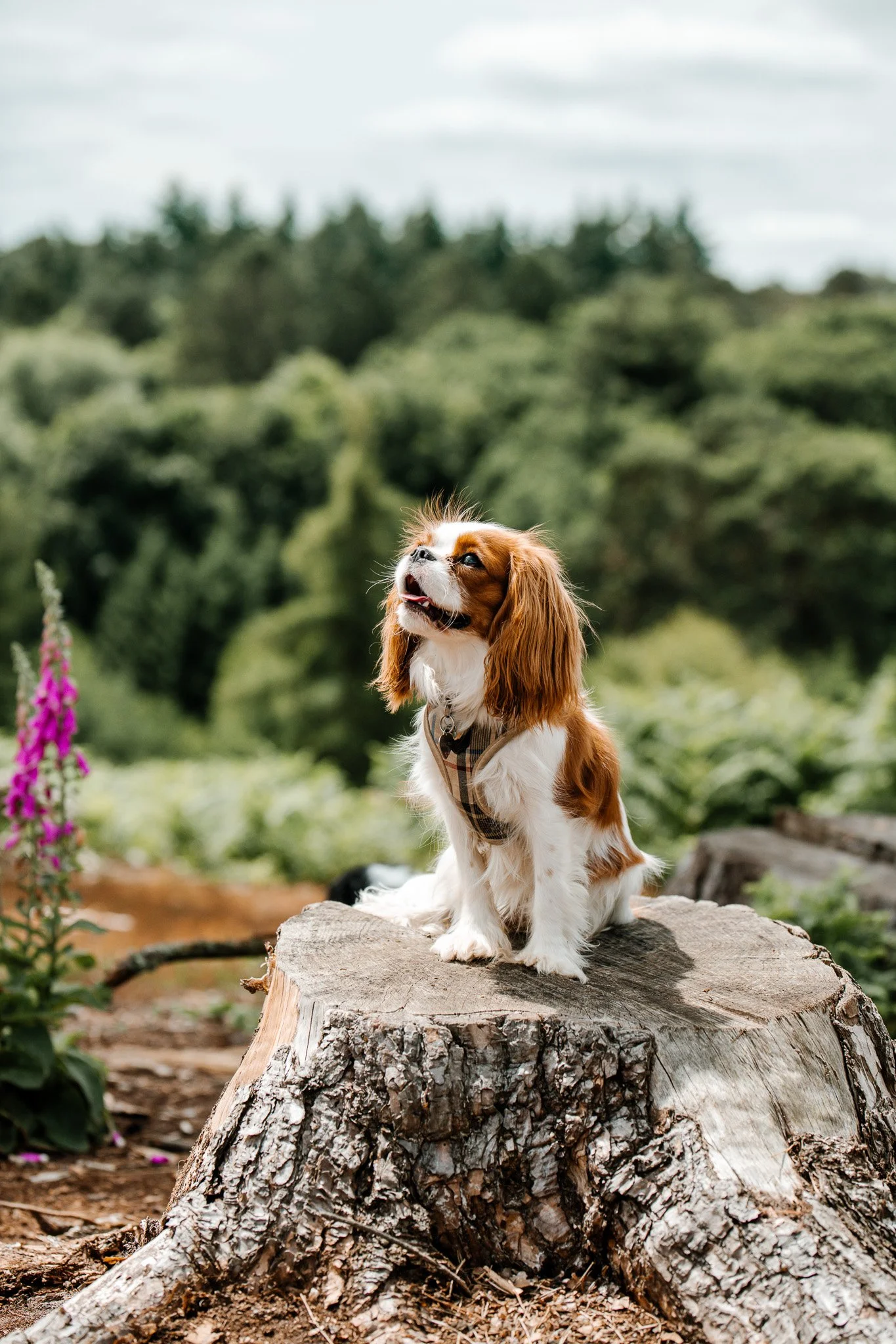 10-11-2022 at 20.06.161 6.jpg