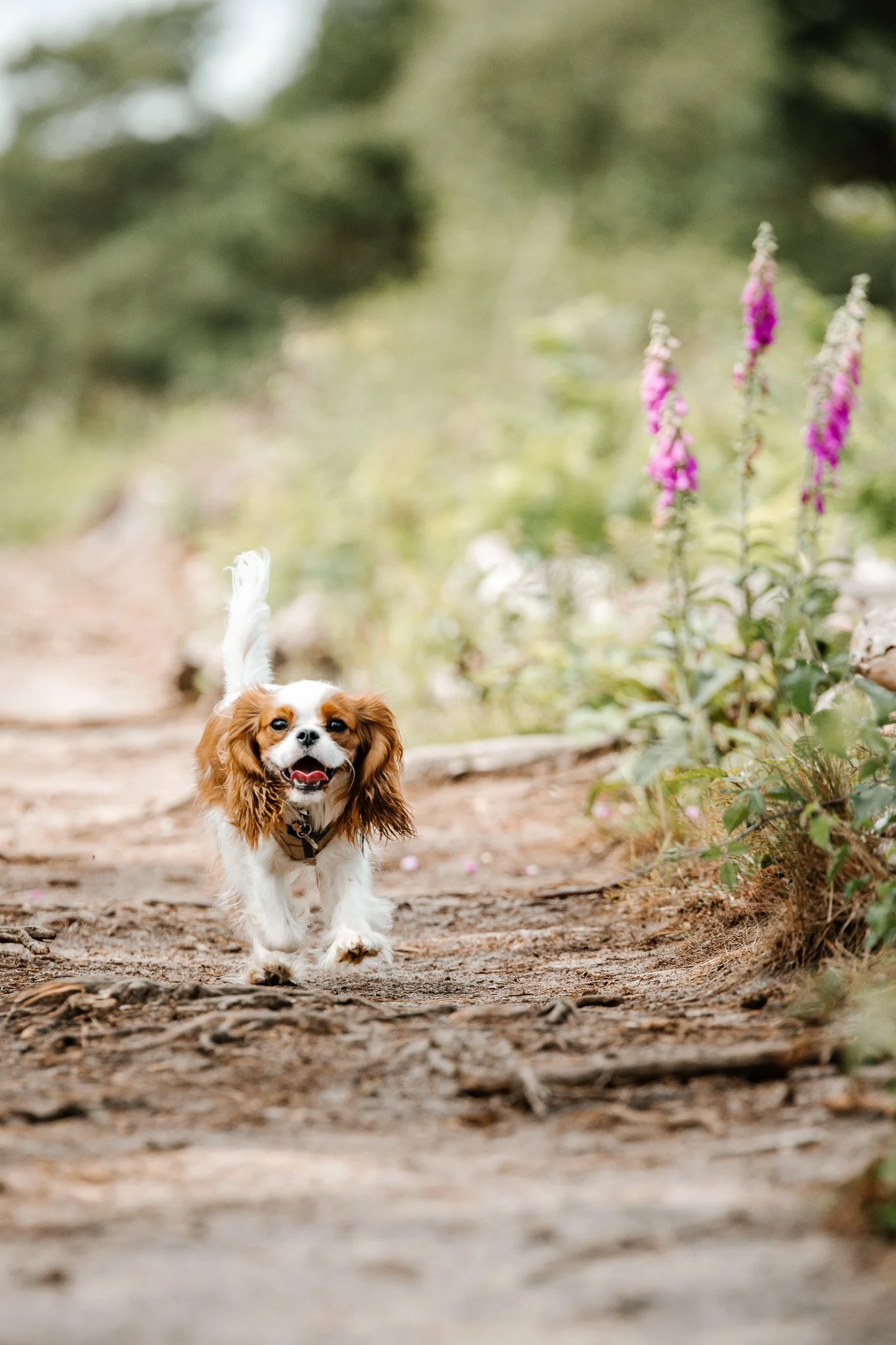 10-11-2022 at 20.06.161 5.jpg