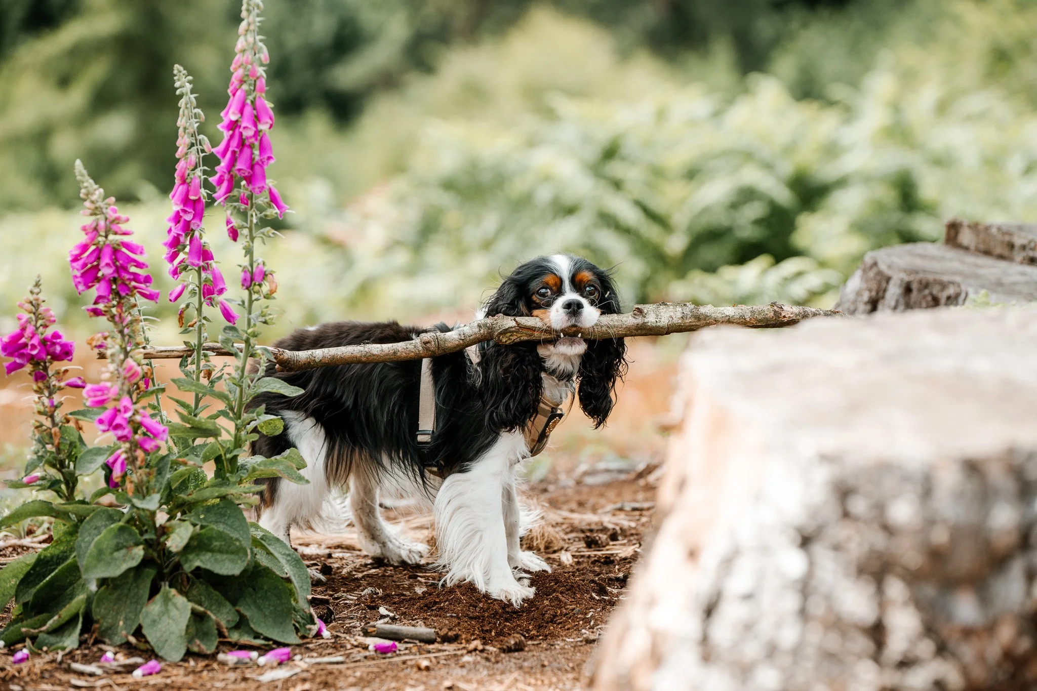 10-11-2022 at 20.06.161 7.jpg