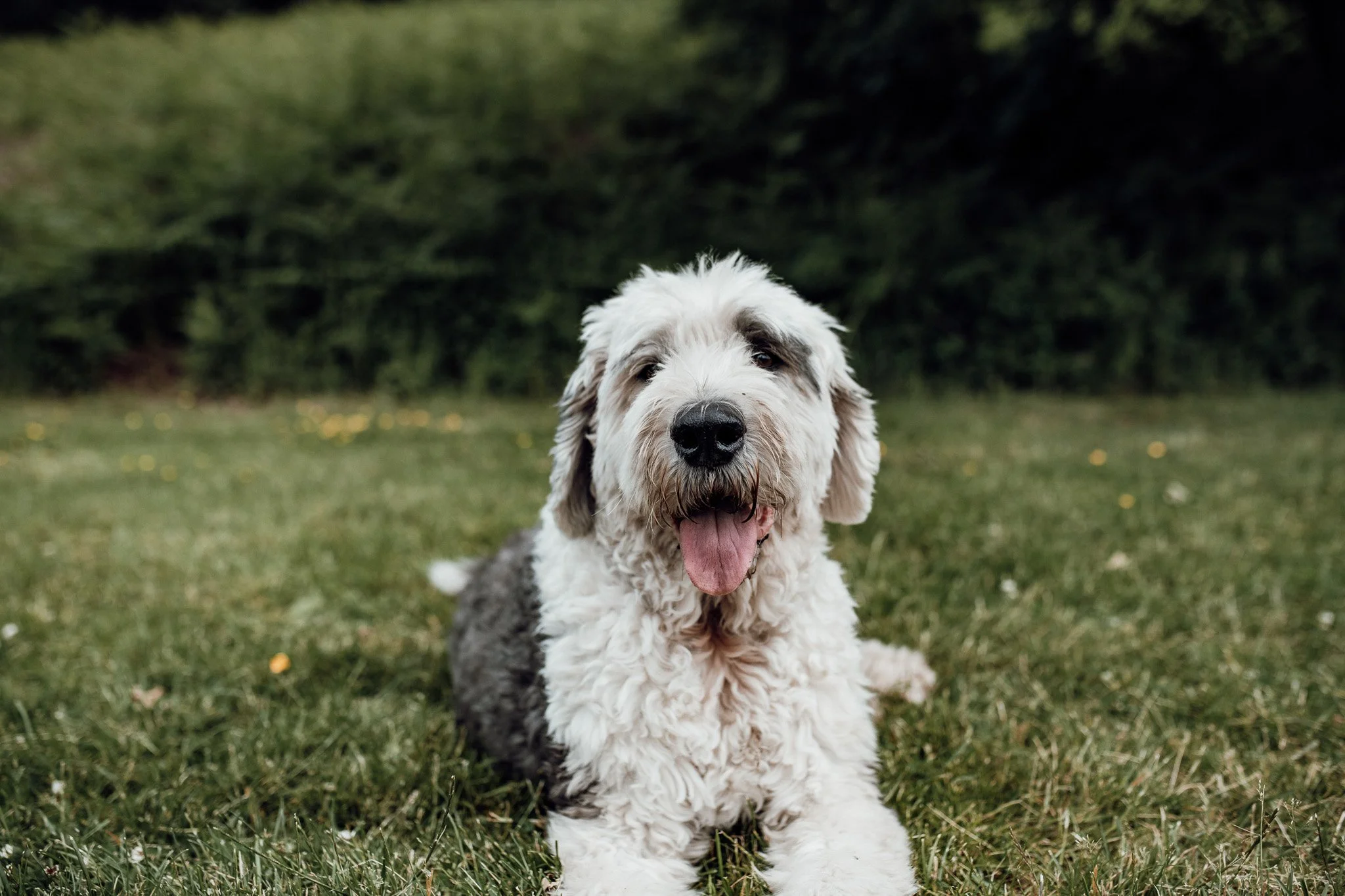 10-11-2022 at 20.06.161 2.jpg