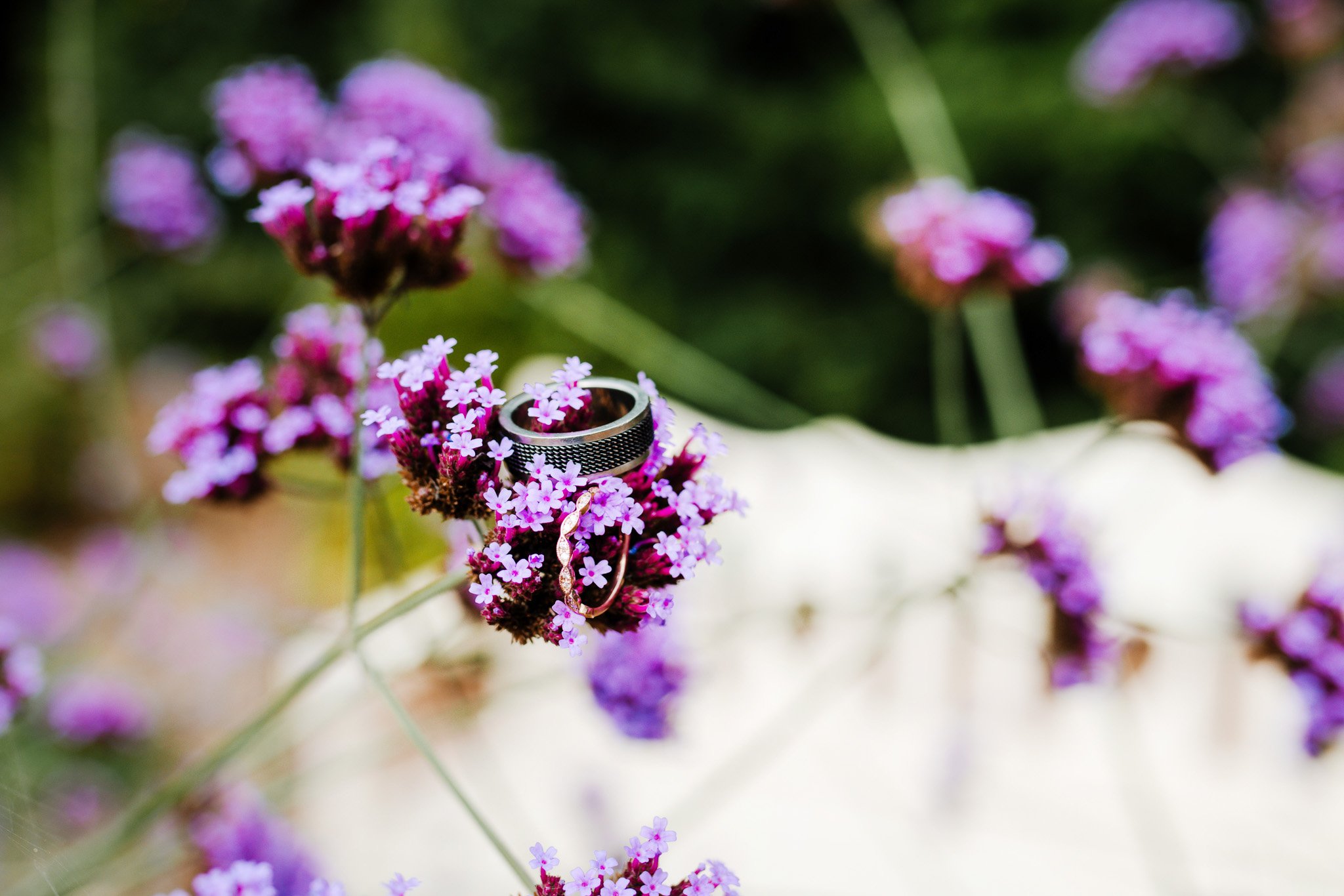 07-11-2022 at 16.24.521 2.jpg