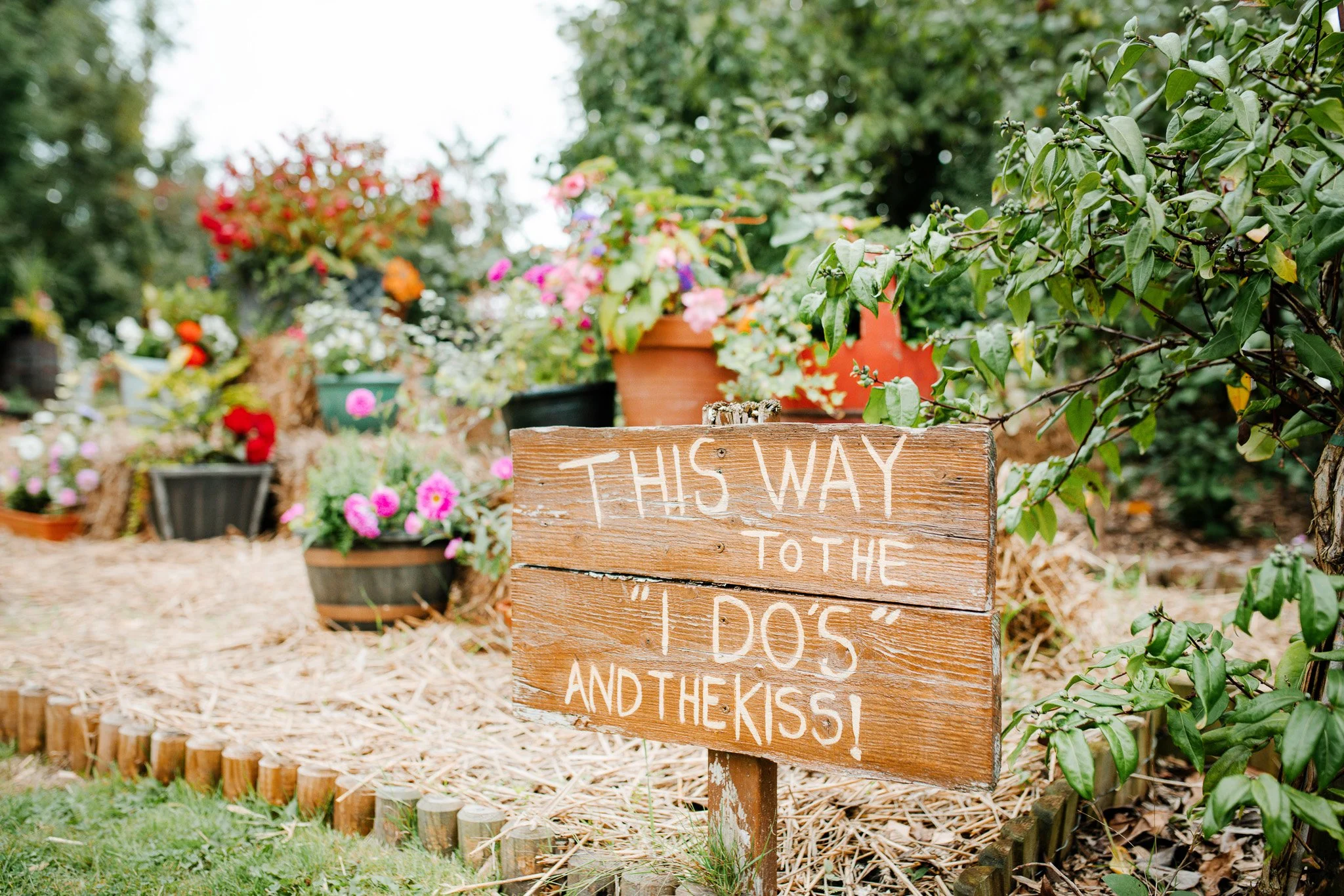 07-11-2022 at 16.24.521.jpg