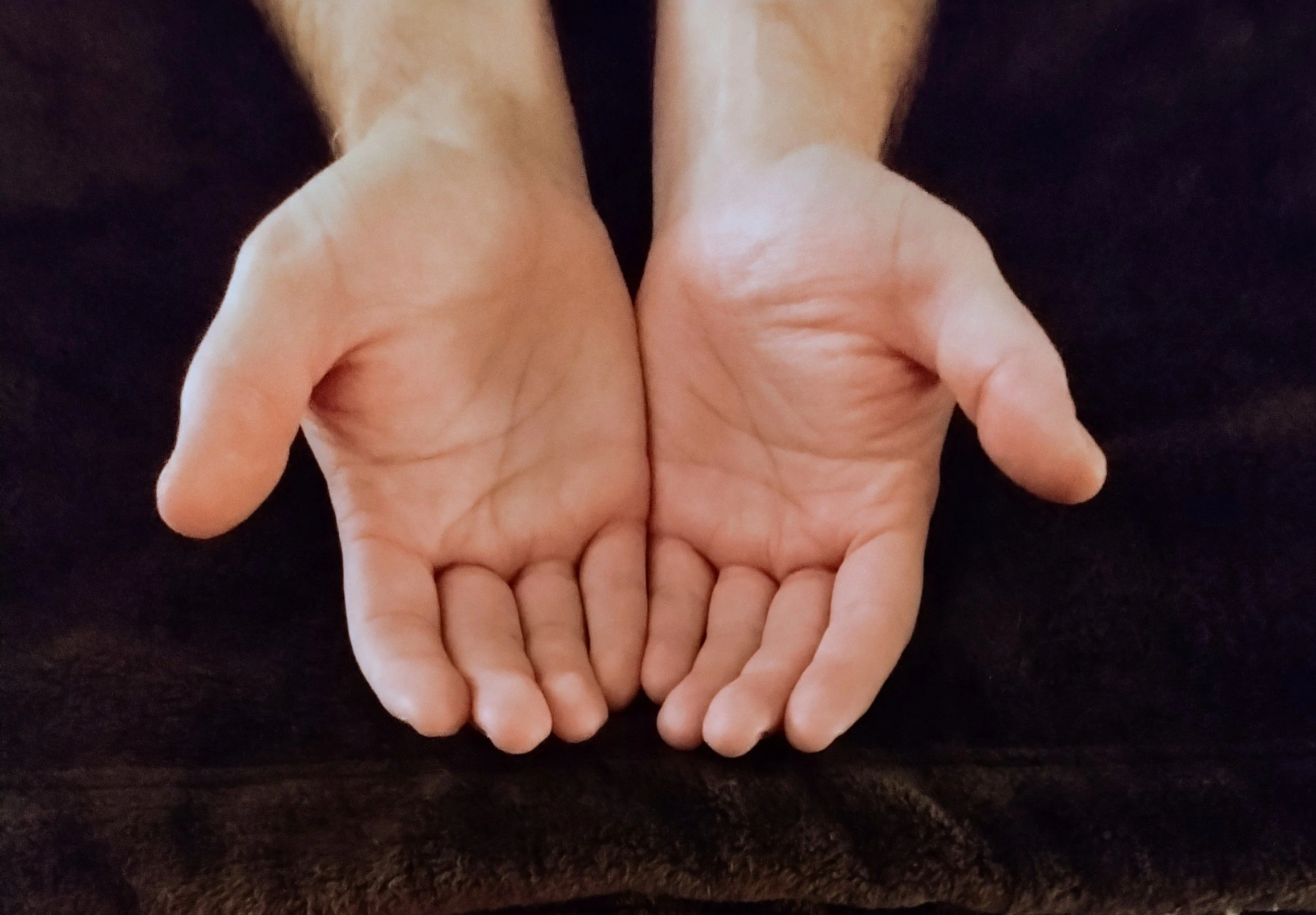 A picture of two hands together opening towards you representing orthopedic massage care at Resting Squirrel Massage Therapy.  They look strong yet soft.