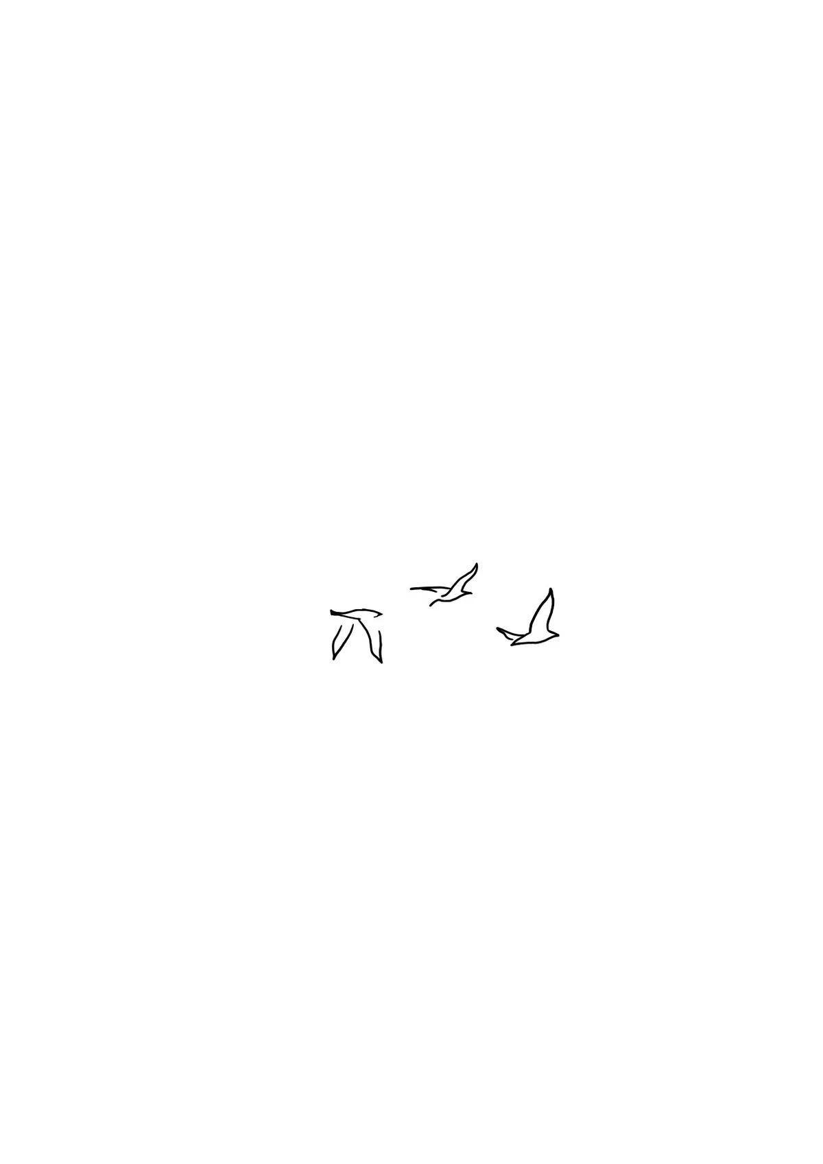 Simple black and white line drawing of three birds flying.