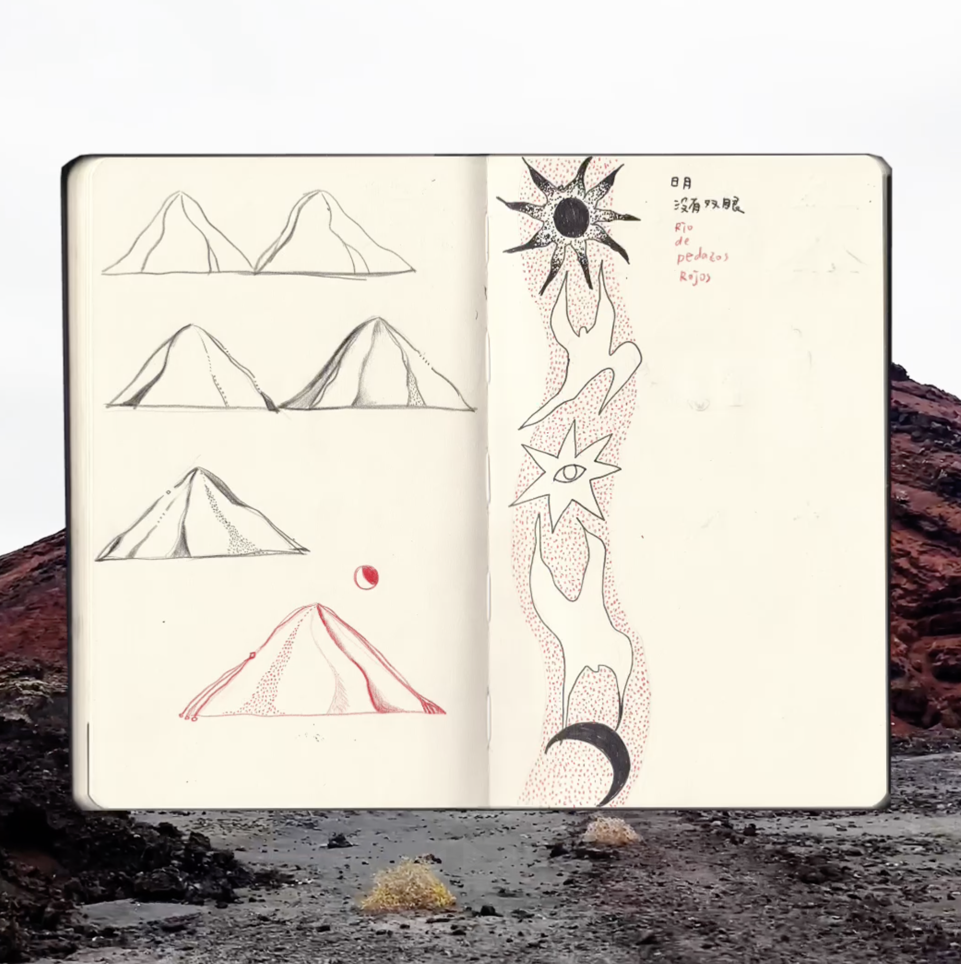 Screenshot 2026-01-21 at 14.02.21.png