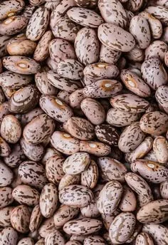 Pinto Beans 500g