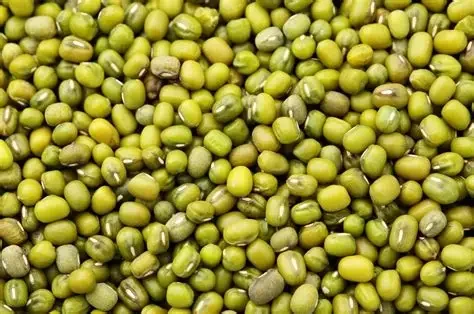 Mung Beans (500g)
