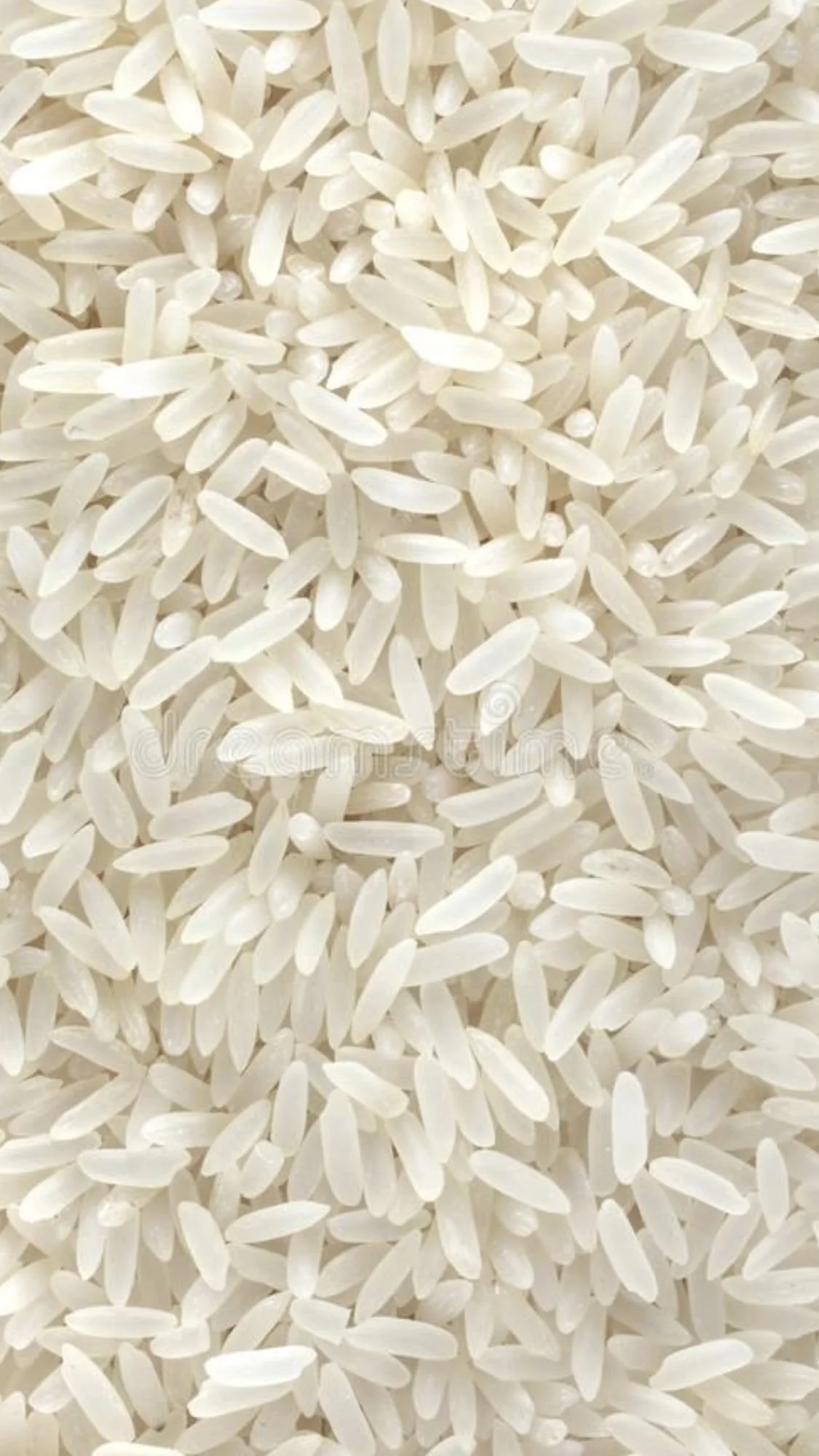 White Basmati Rice 500g