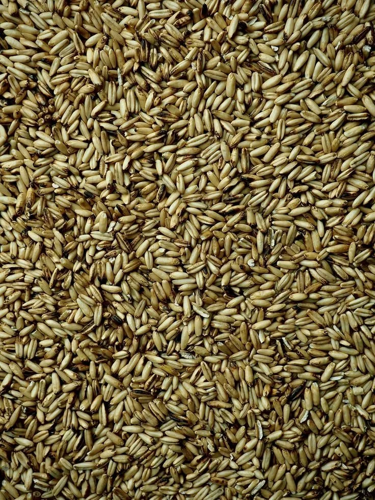 Oat Groats 500g