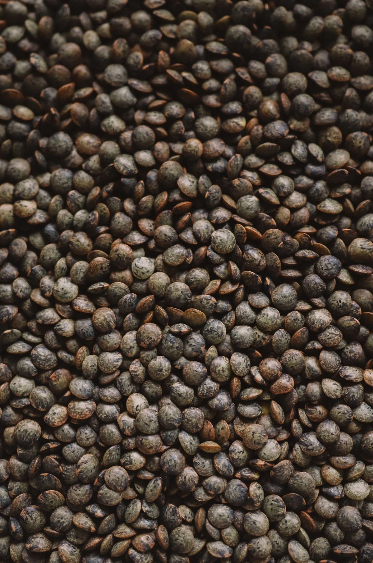 Dark Speckled Lentils 500g