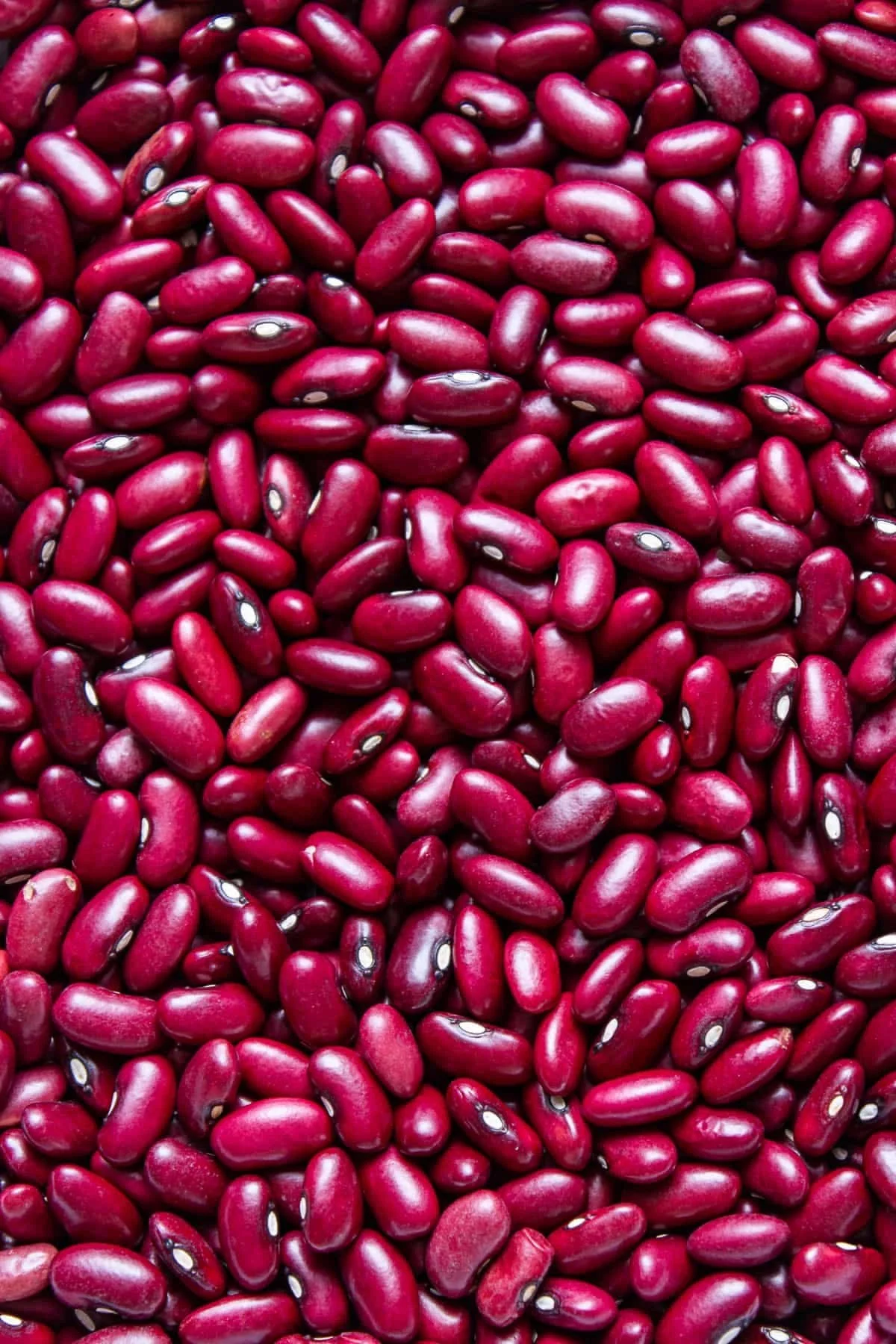 Red Kidney Beans 500g