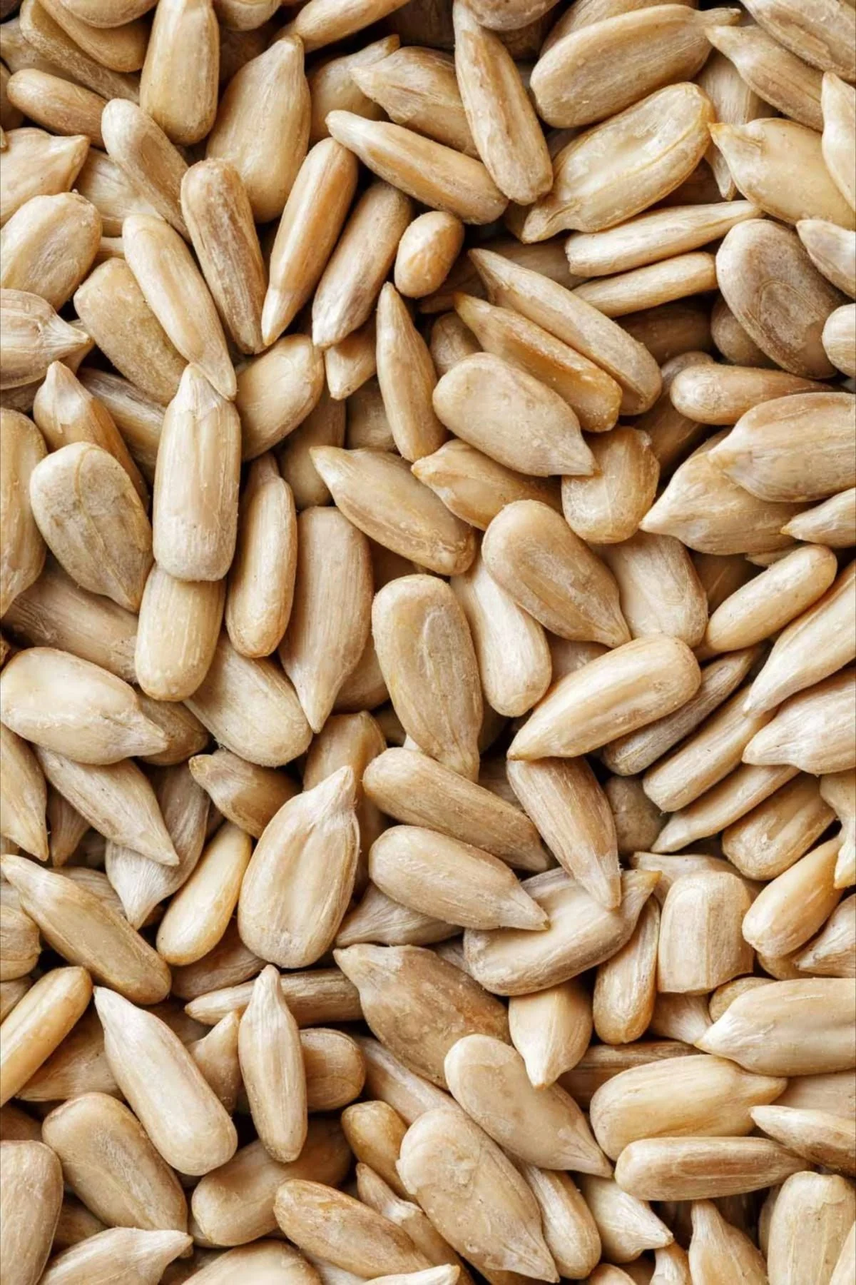 Sunflower Seeds 500g