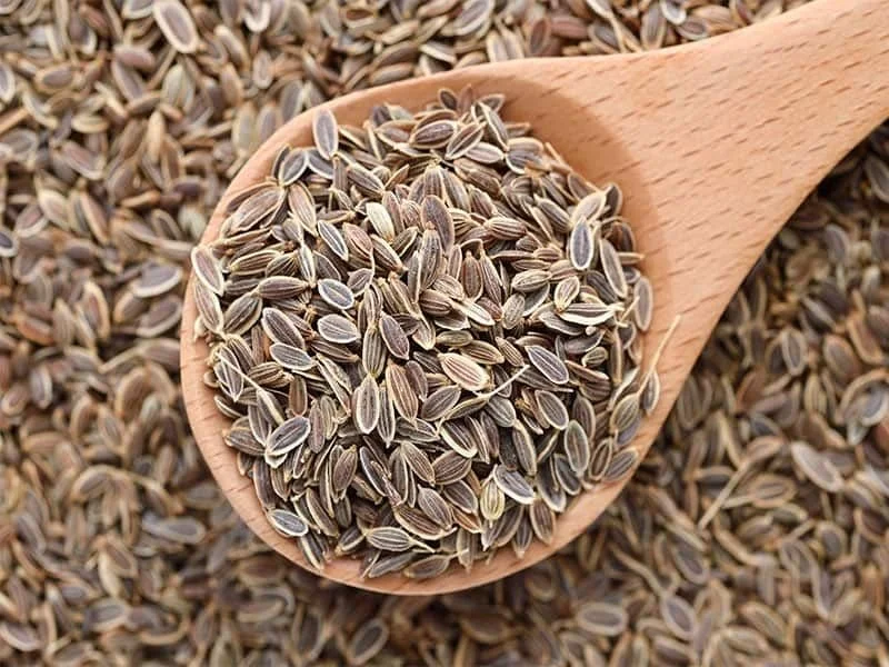 Celery Seeds 80g