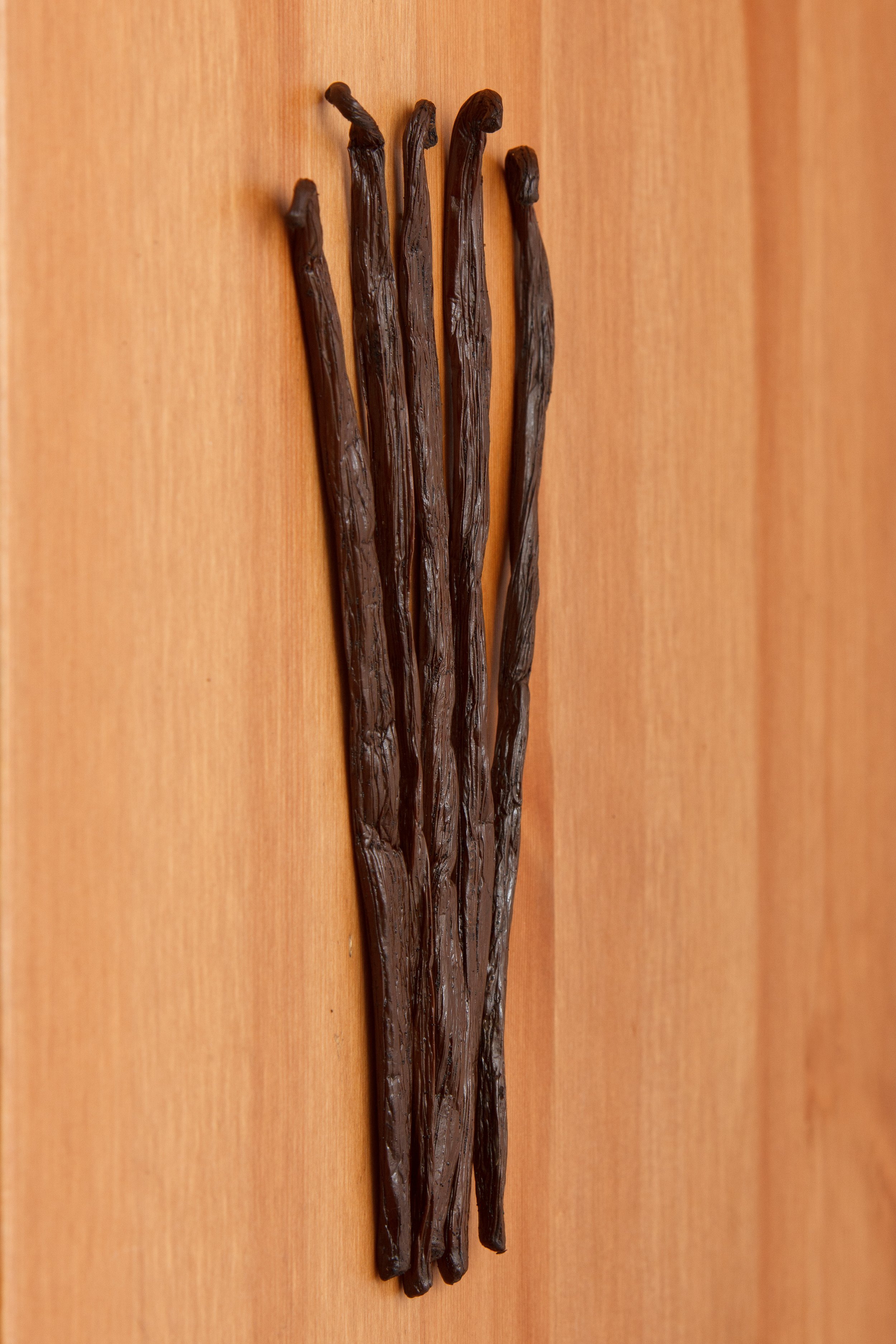 Vanilla Pod (Single)
