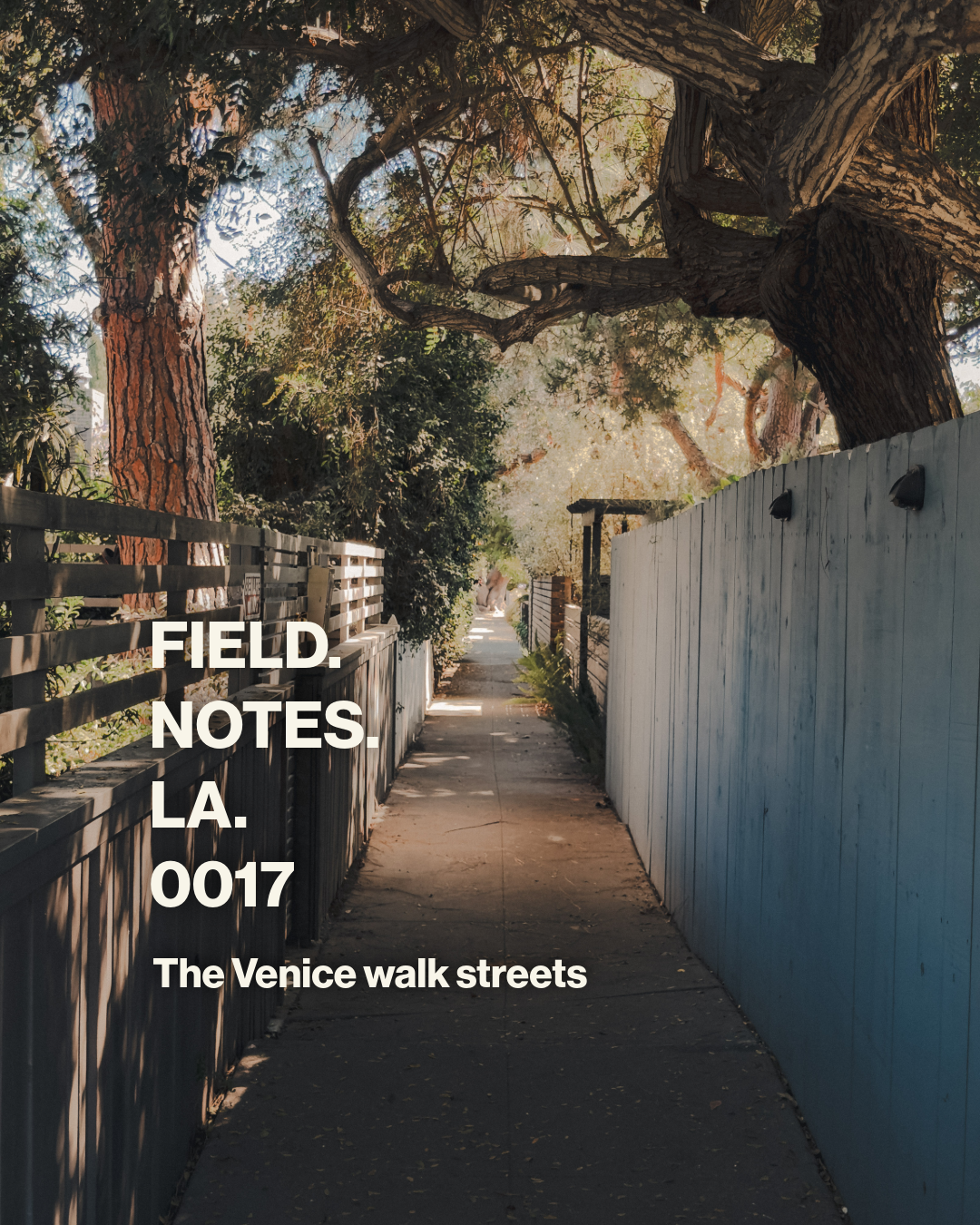 The Venice Walk Streets