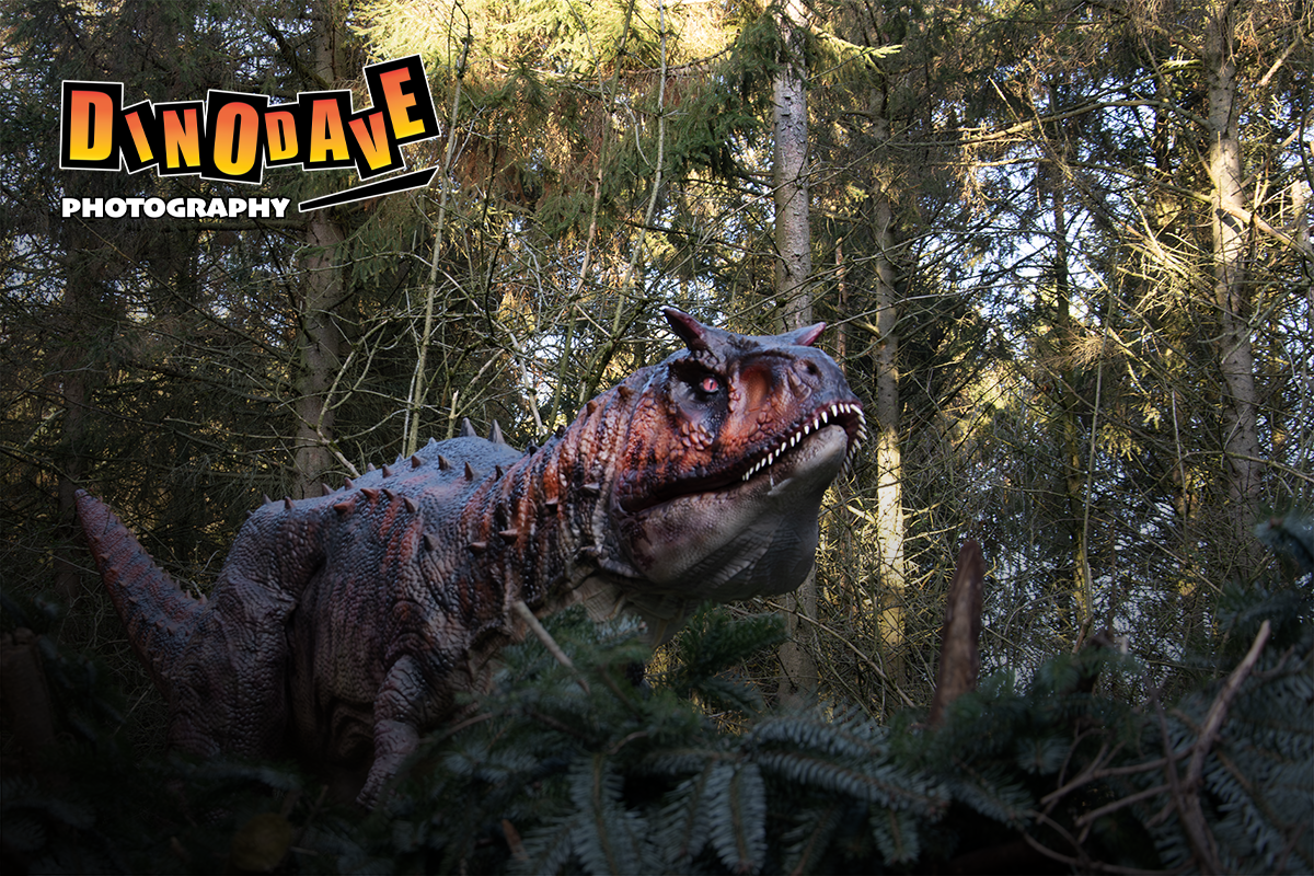 Photograph taken at Hoo Zoo & Dinosaur World