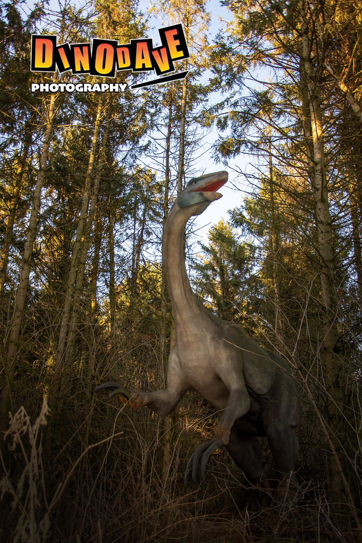 Photo taken at Hoo Zoo & Dinosaur World