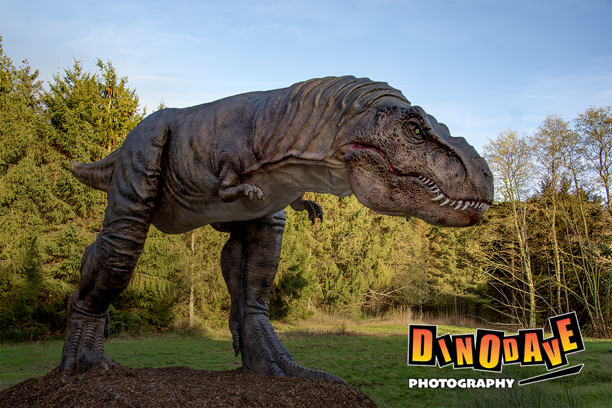 Photograph taken at Hoo Zoo & Dinosaur World