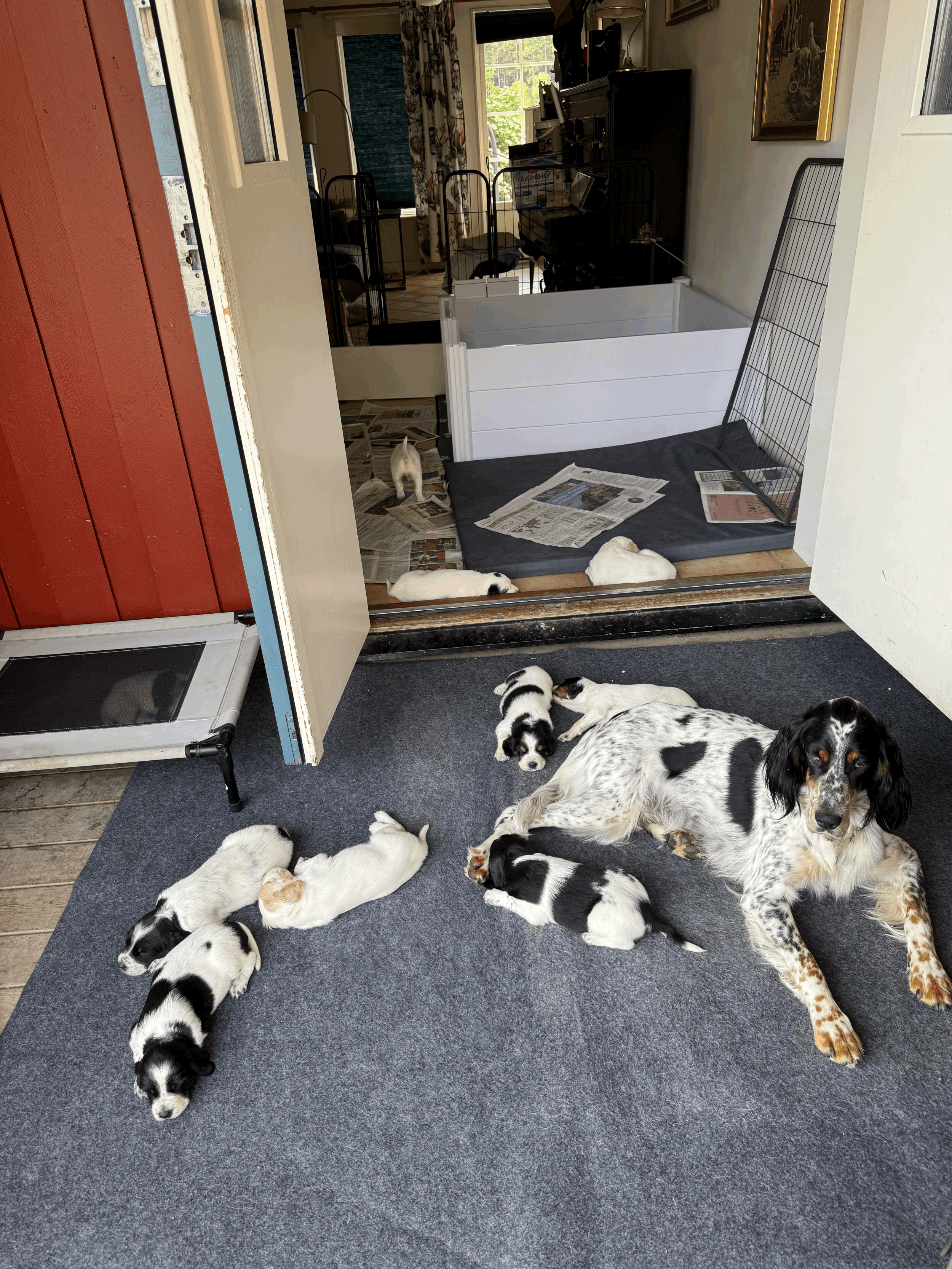 4 veckor - dags att upptäcka världen