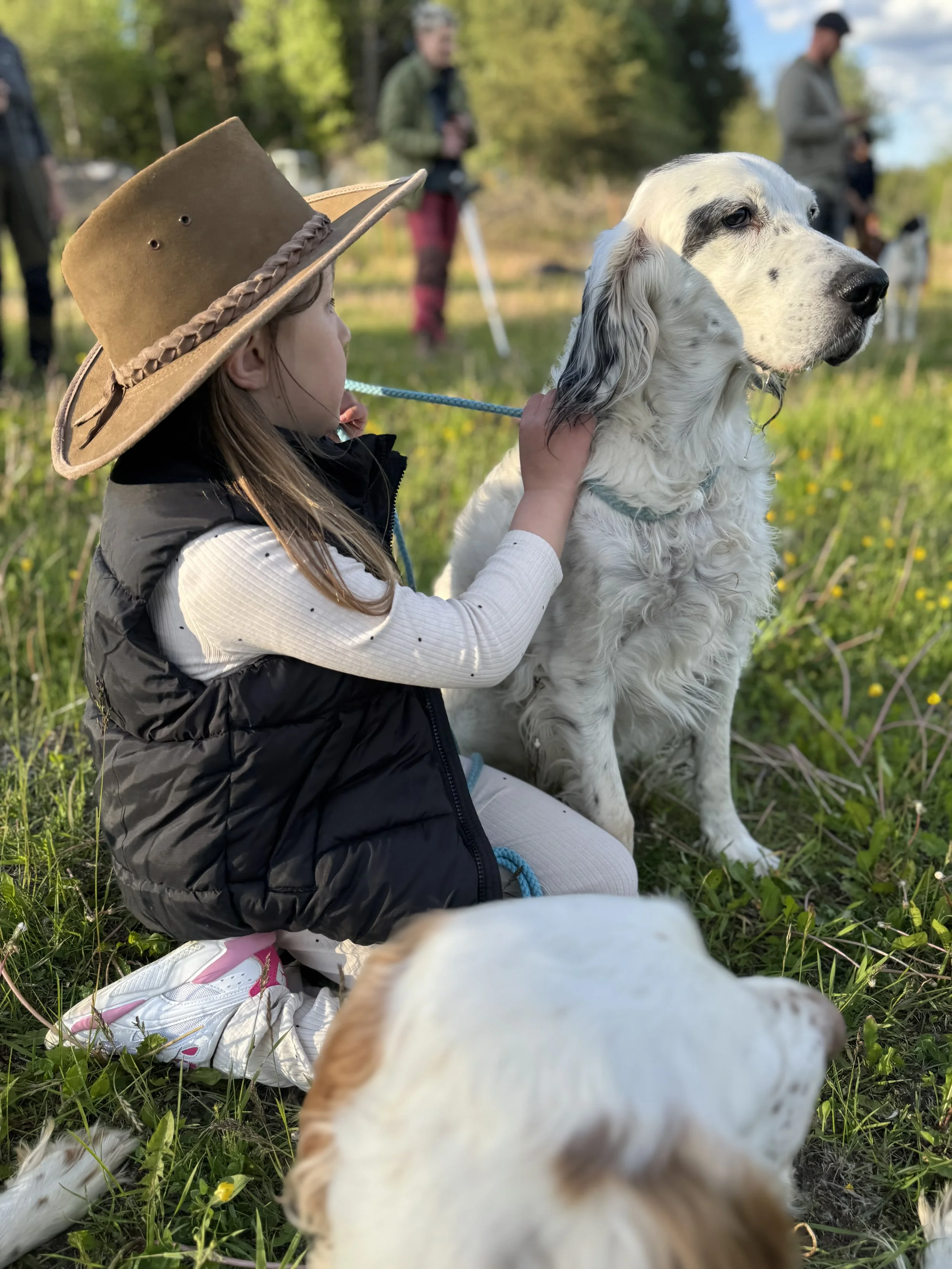 Barn med hatt som leker med en stor vit och svartfläckig hund utomhus i en grön park.