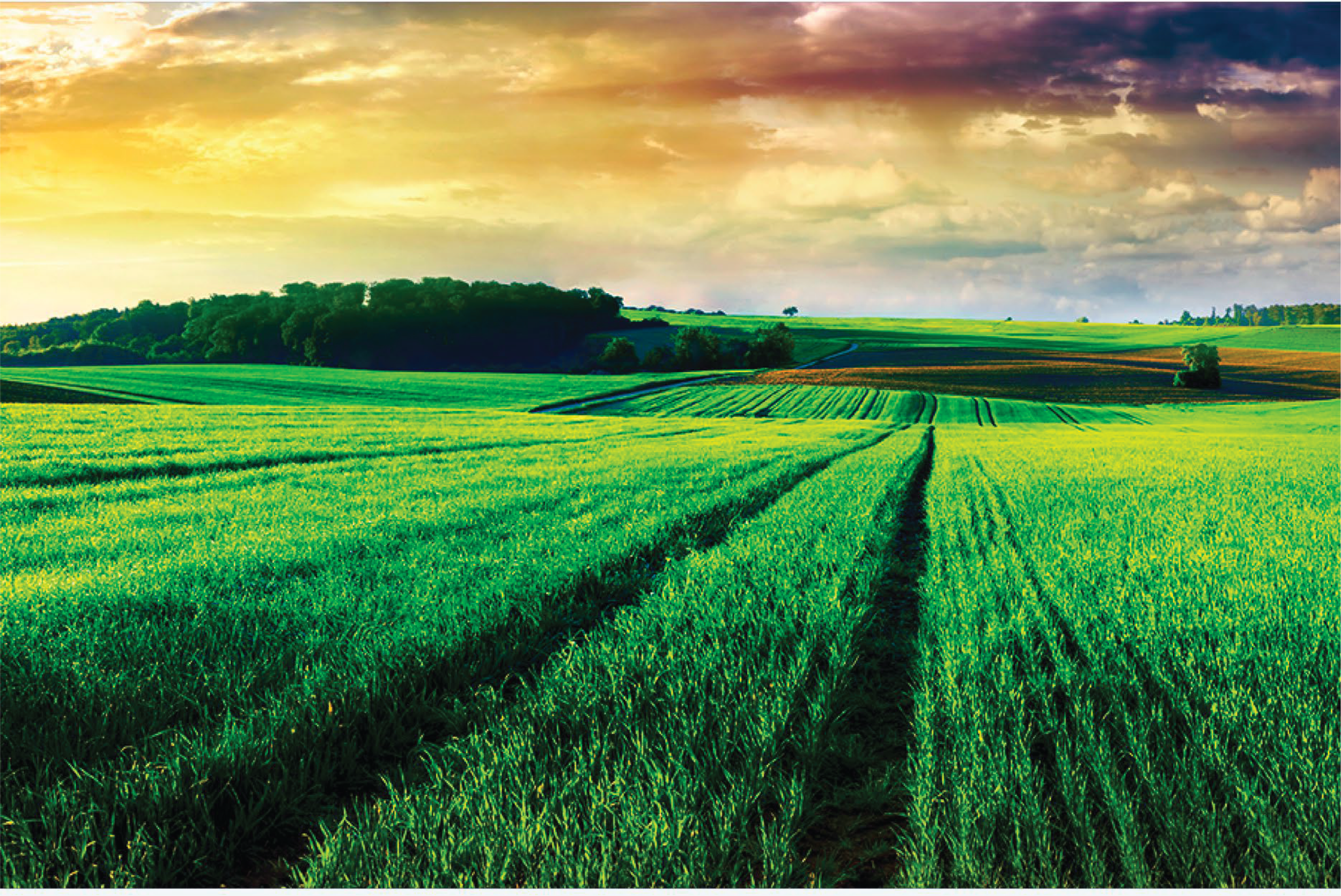 NIFA Reporting System - Booz Allen Hamilton