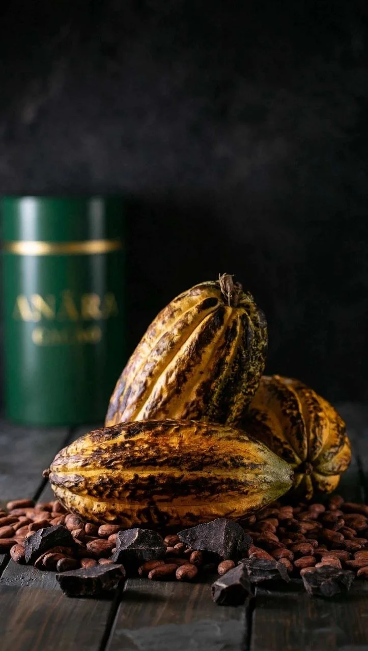 Anãra Cacao from bean to final product.jpg