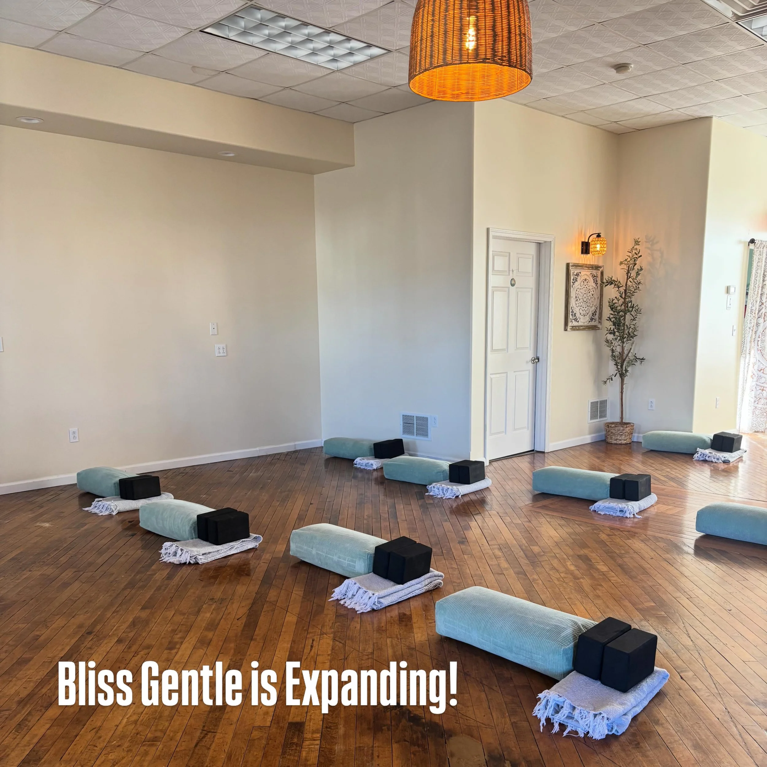 ✨ Bliss Gentle is Expanding! ✨

We&rsquo;re excited to announce a new Bliss Gentle class beginning Thursday, July 16 at 10:00 AM.

This new offering will be a full 60-minute practice, giving you even more time to move, stretch, improve balance and mo