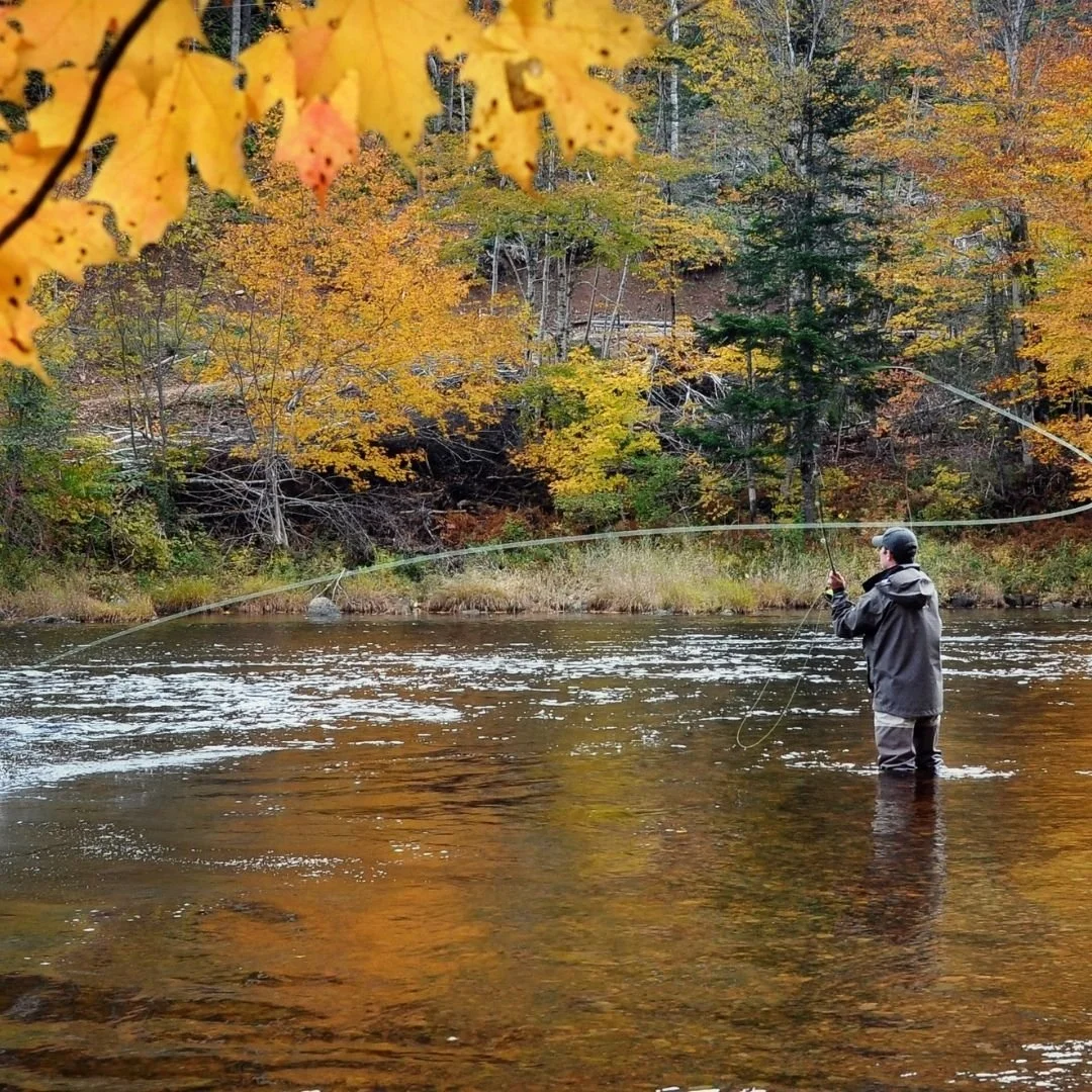 Person fishing in a river surrounded by autumn trees with yellow and orange leaves.