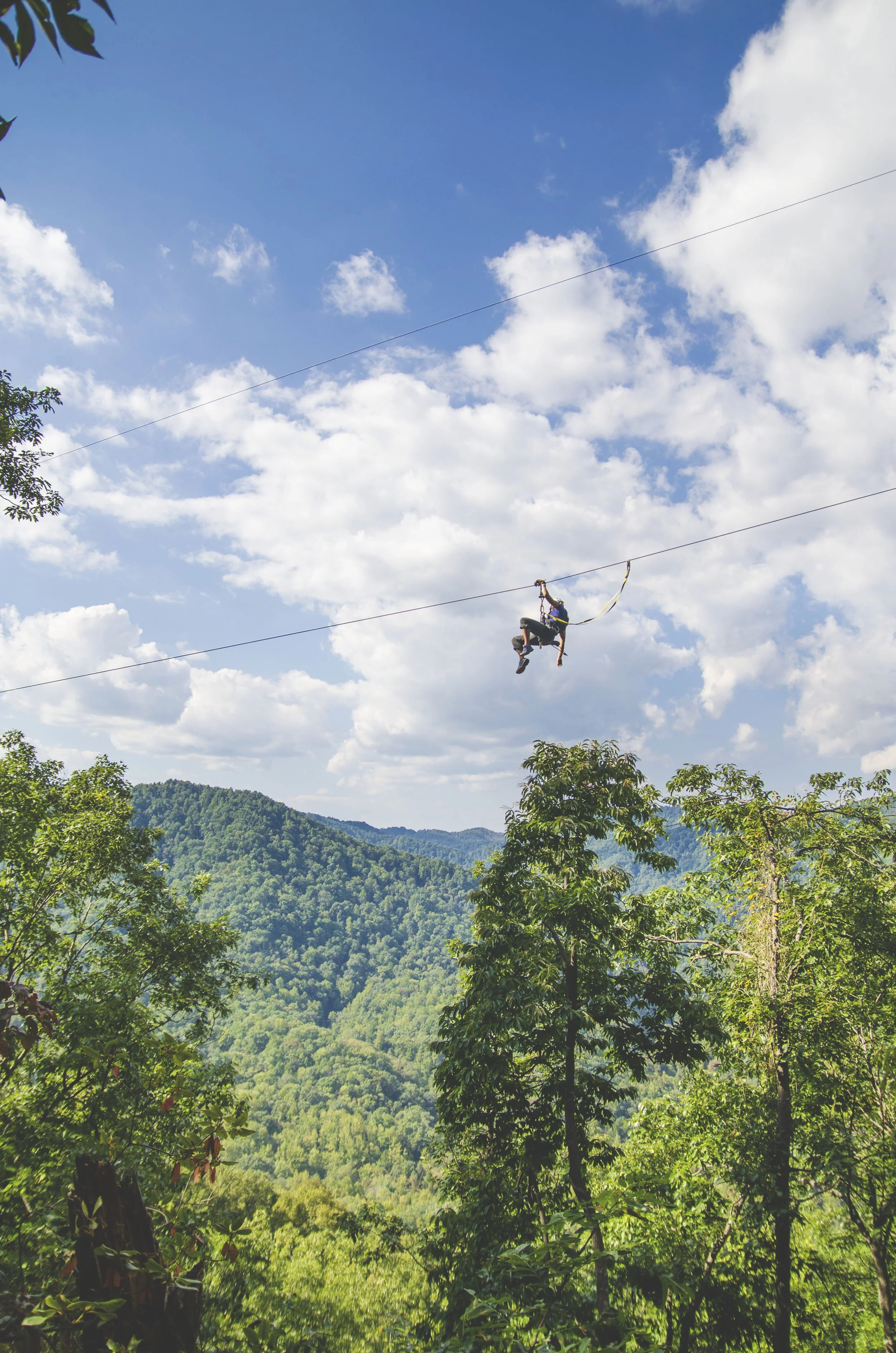 A person is ziplining through a lush, green forest with a mountain range in the background, under a partly cloudy blue sky.