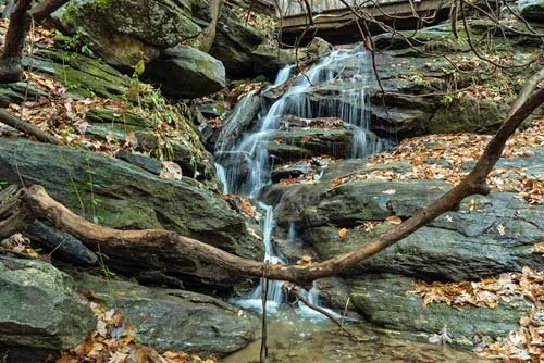 A small waterfall flowing over rocks in a forested area with fallen leaves on the ground.