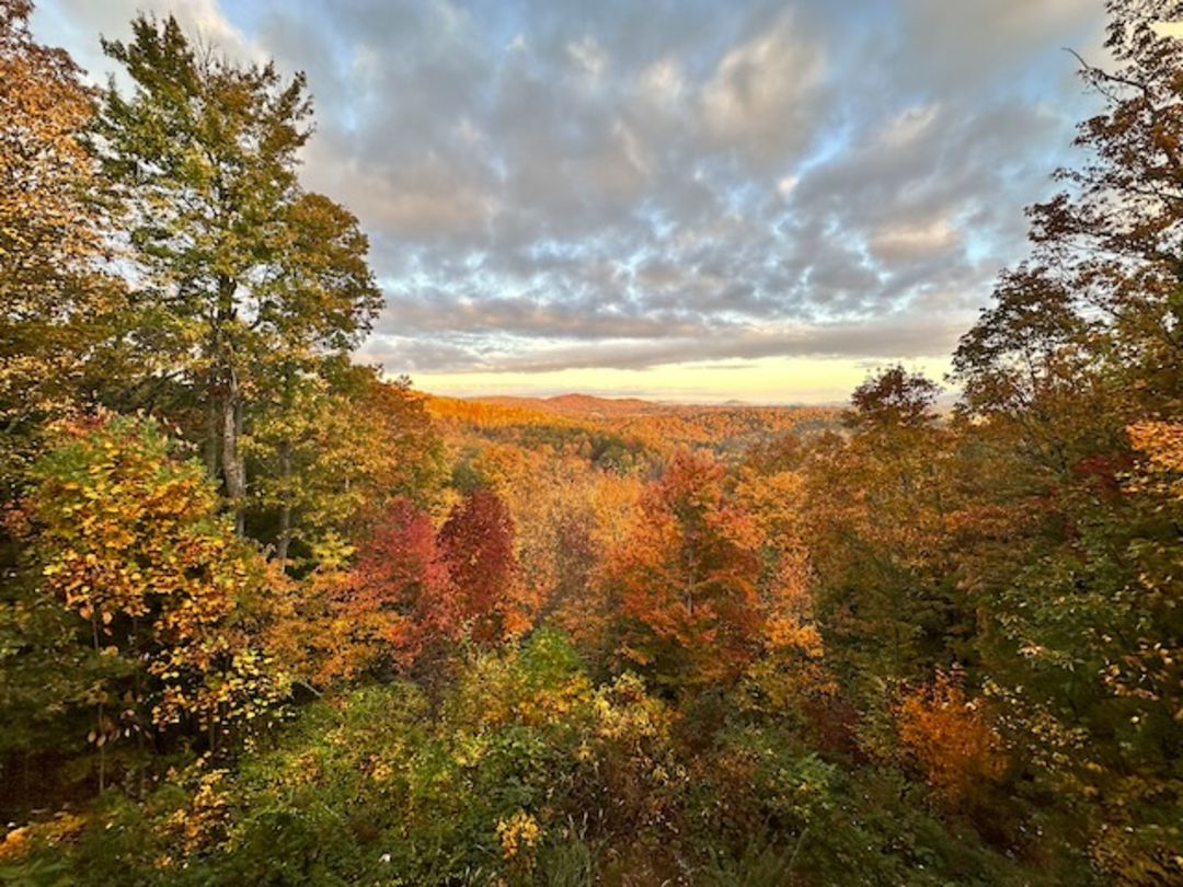 IMG_0760.png