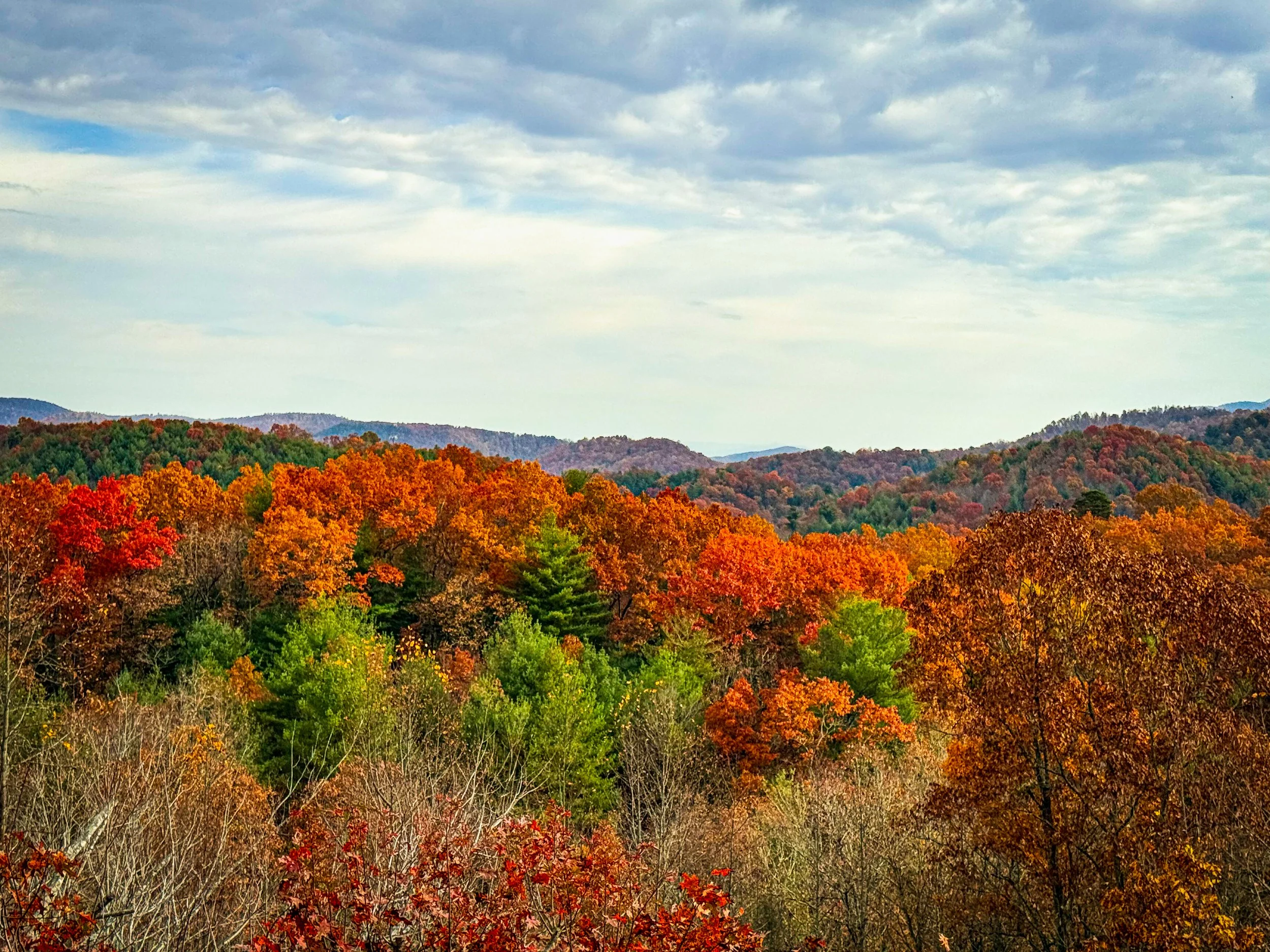 Fall Colors &amp; Mountain Charm: Discover Saluda This Autumn