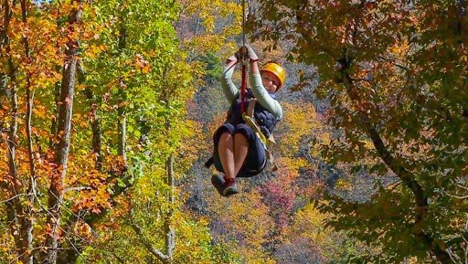 Child wearing a helmet riding a zip line through autumn trees.
